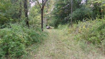 150 Spindle Road Dickson, TN 37055 - Photo 2 of 8 a view of a lush green forest