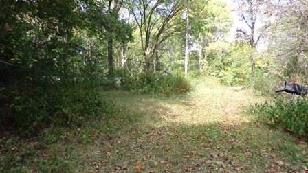 150 Spindle Road Dickson, TN 37055 - Photo 3 of 8 a view of a yard with plants and large trees