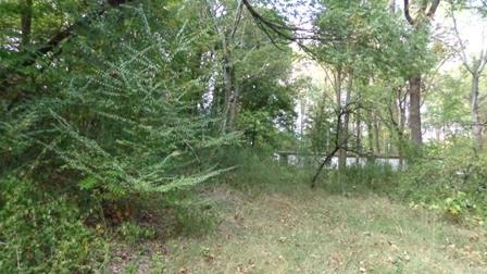 150 Spindle Road Dickson, TN 37055 - Photo 4 of 8 a view of a lush green forest