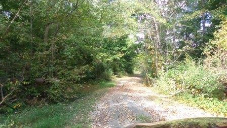 150 Spindle Road Dickson, TN 37055 - Photo 5 of 8 a view of a yard with a tree