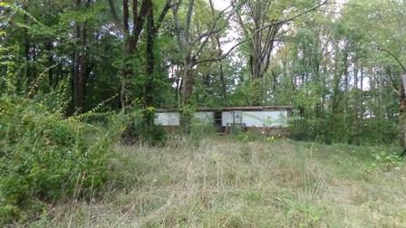 150 Spindle Road Dickson, TN 37055 - Photo 7 of 8 a view of a lush green forest with lots of trees