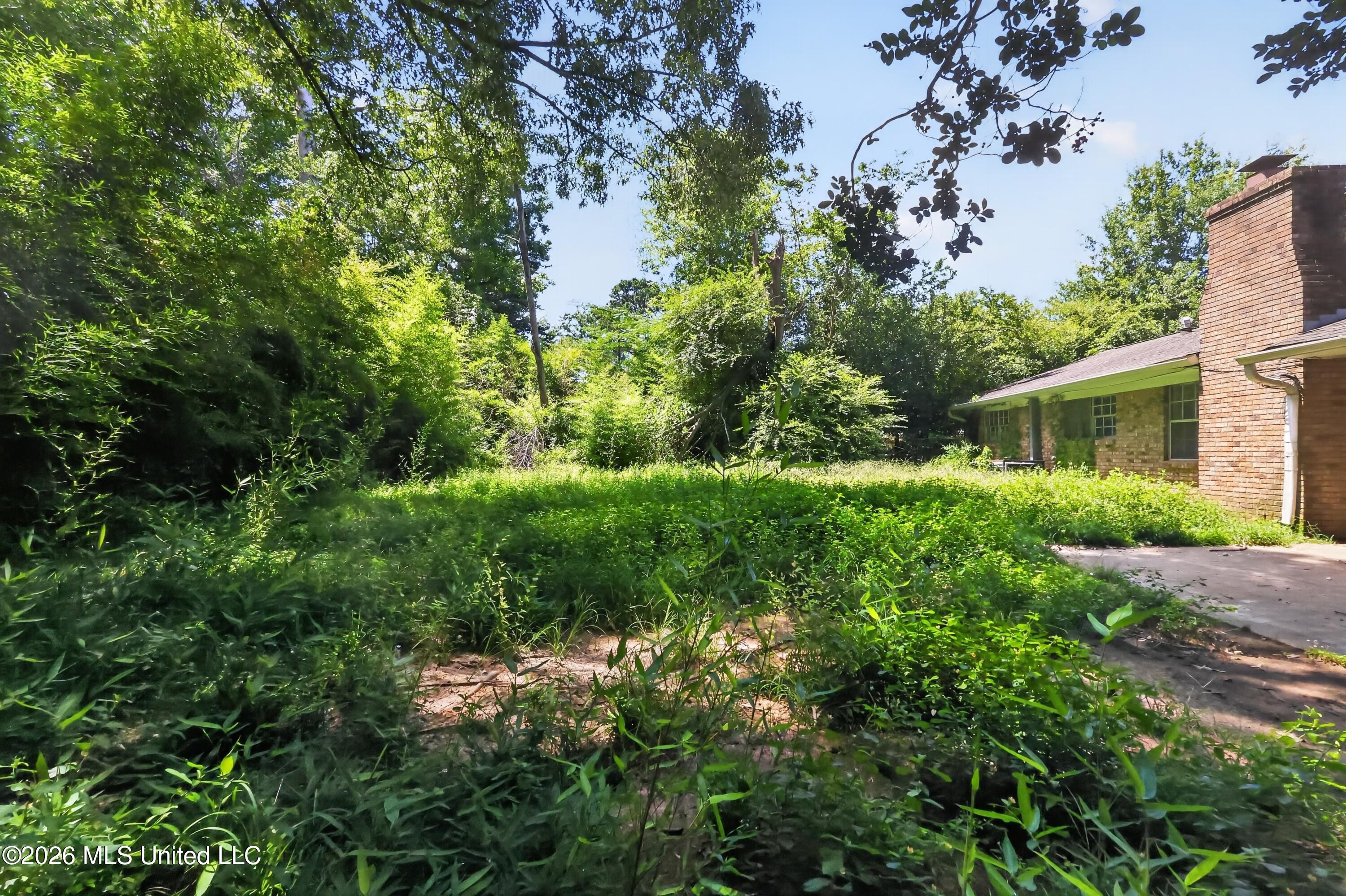 2386 Breckinridge Road Jackson, MS 39204 - Photo 2 of 28 02_2386_Breckinridge_Rd-Exterior-7474