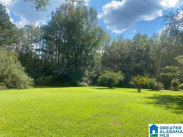 7445 Dogtown Road Nauvoo, AL 35578 - Photo 21 of 23 Gallery Image 21