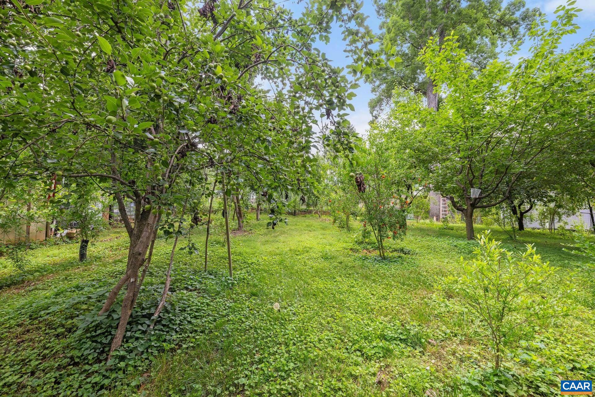 2417 Angus Road Charlottesville, VA 22901 - Photo 51 of 67