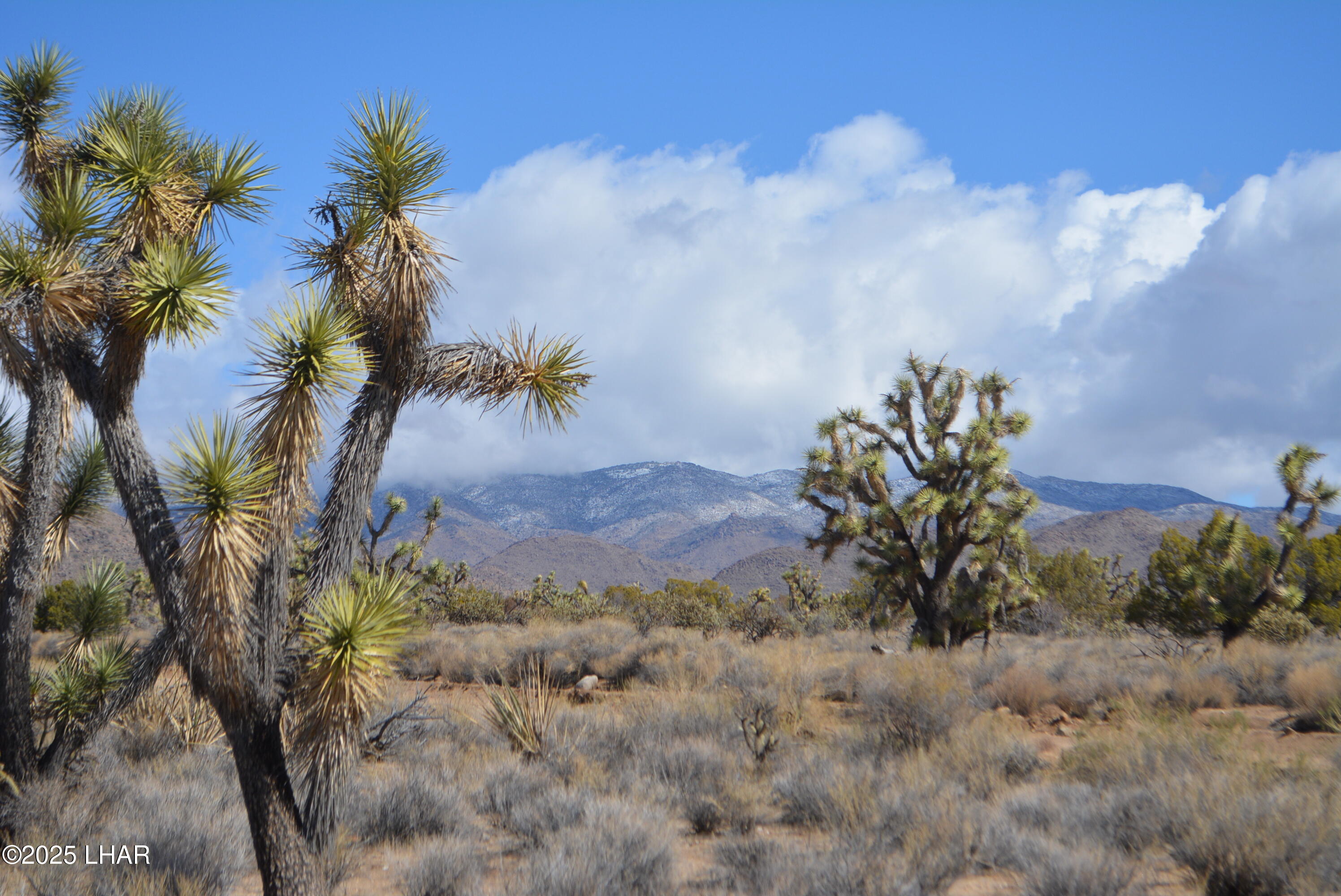 2664 South Rawhide Road Yucca, AZ 86438 - Photo 1 of 84 DSC_0732