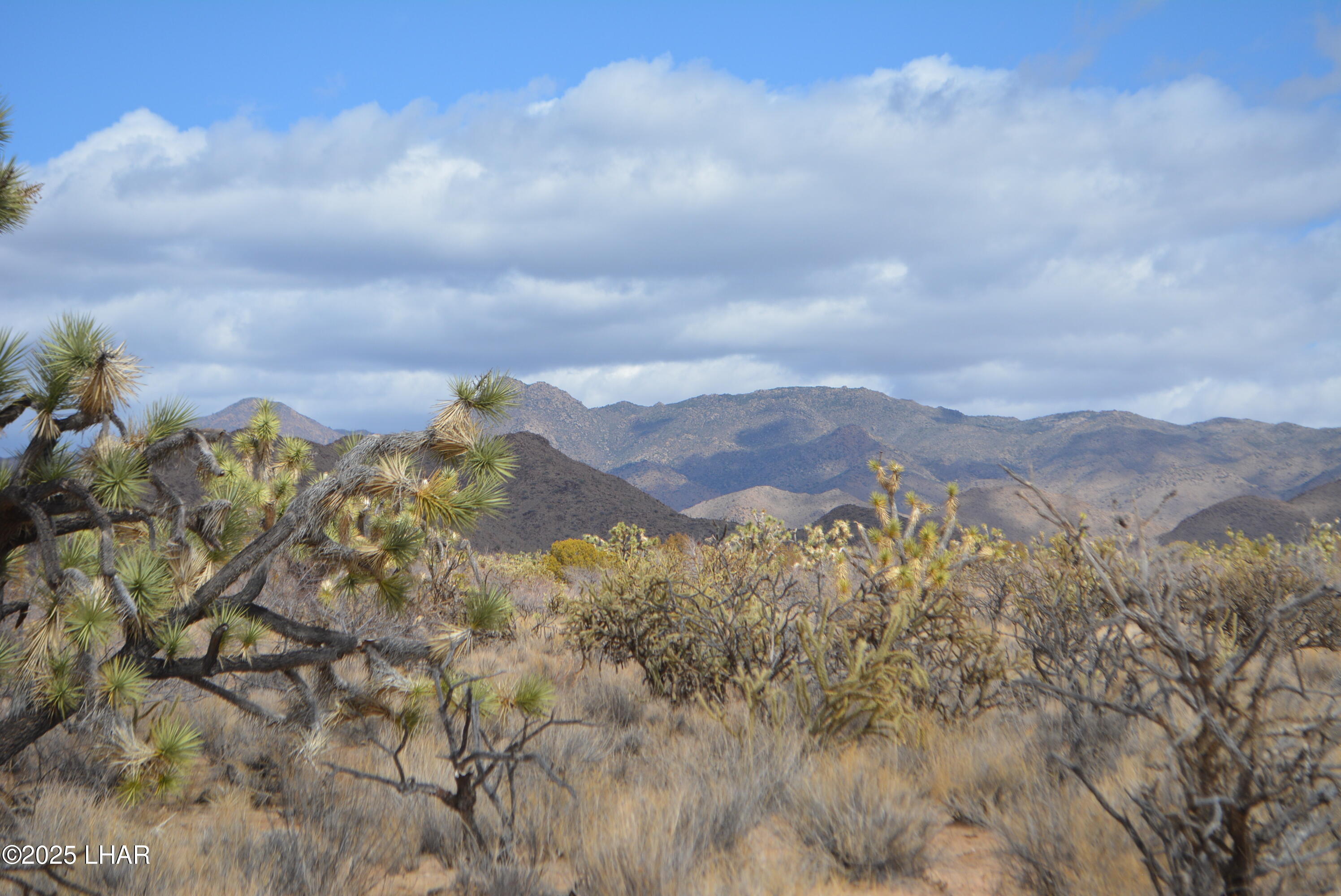2664 South Rawhide Road Yucca, AZ 86438 - Photo 16 of 84 DSC_0708