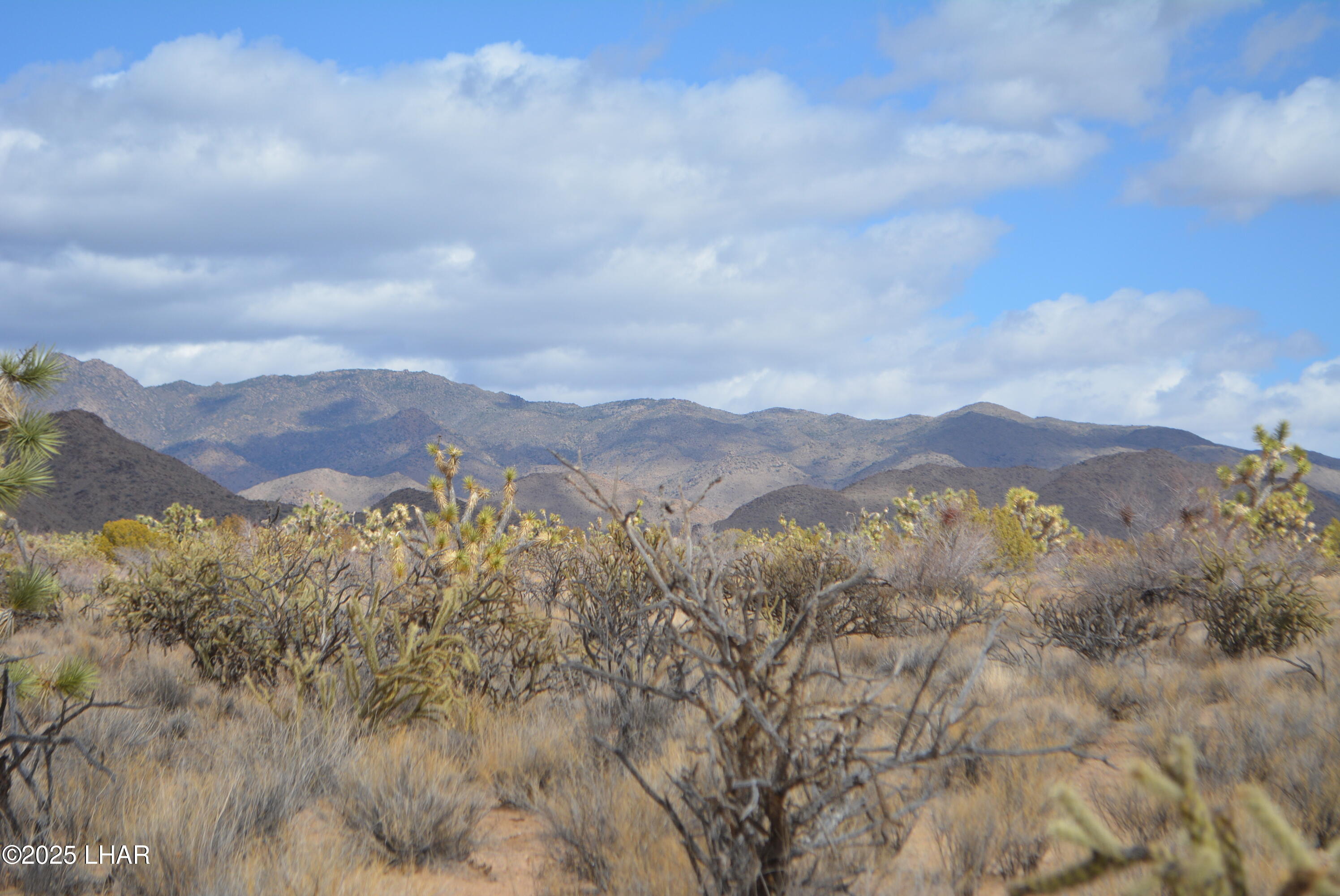2664 South Rawhide Road Yucca, AZ 86438 - Photo 17 of 84 DSC_0709