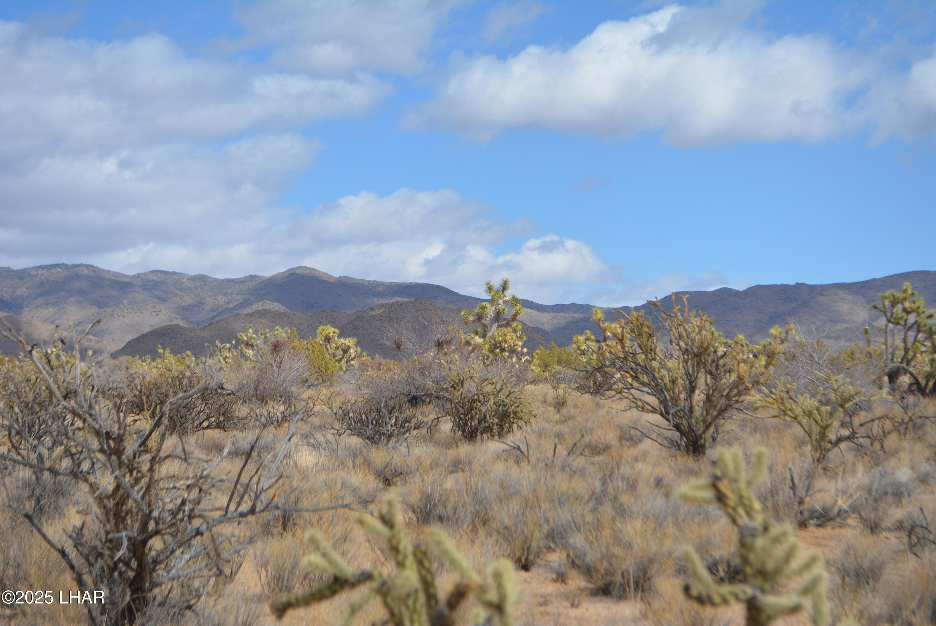 2664 South Rawhide Road Yucca, AZ 86438 - Photo 18 of 84 DSC_0710