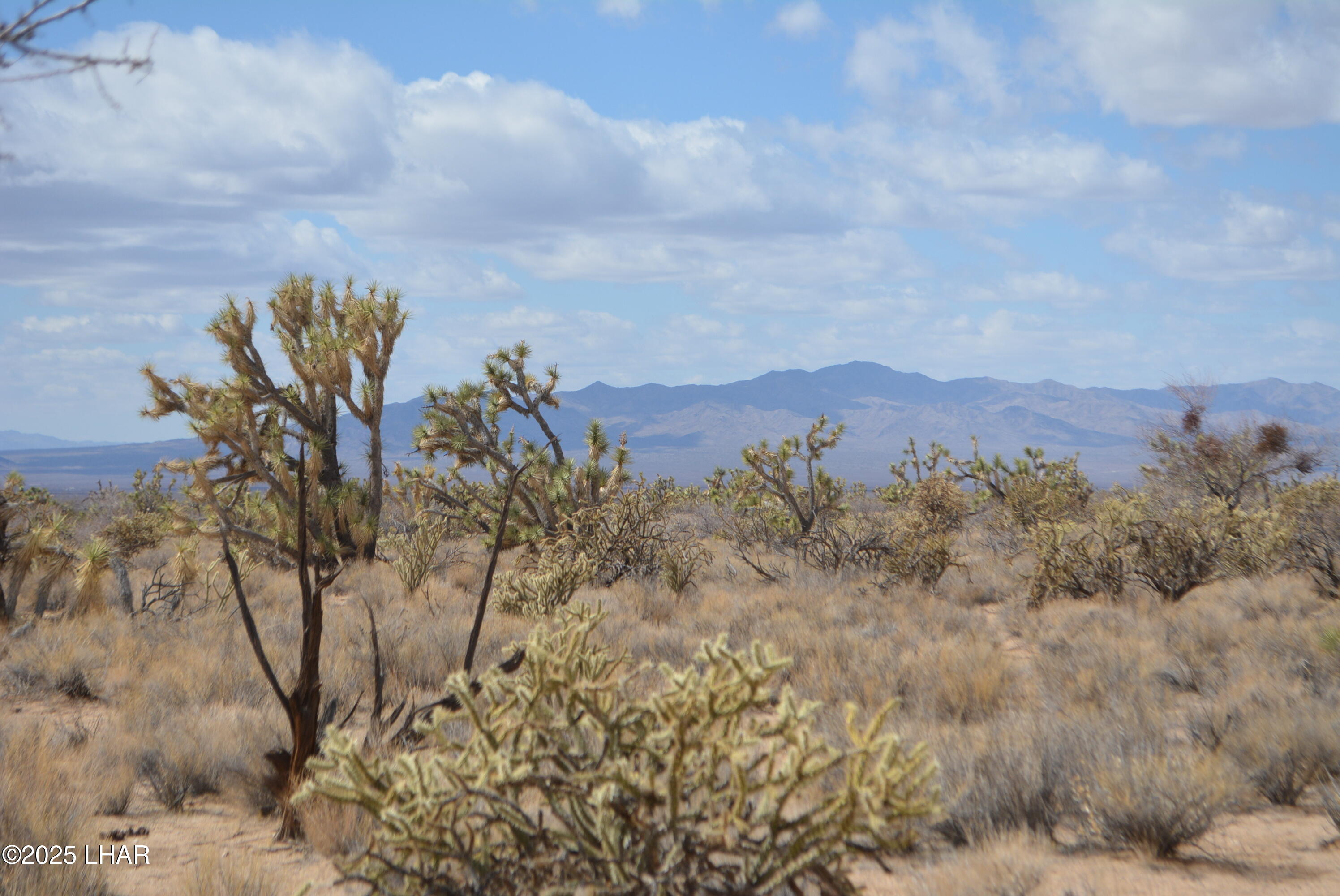 2664 South Rawhide Road Yucca, AZ 86438 - Photo 22 of 84 DSC_0714