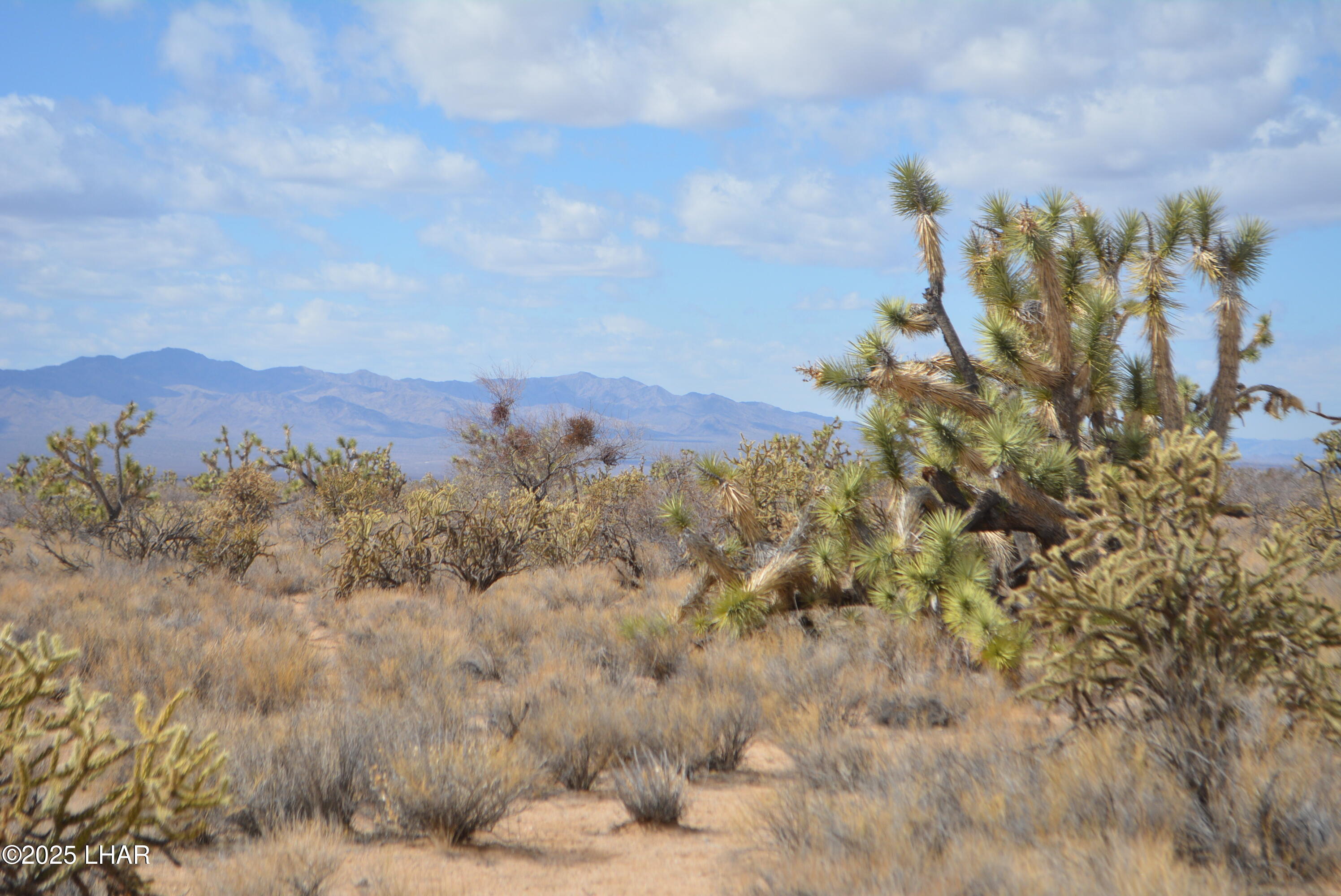2664 South Rawhide Road Yucca, AZ 86438 - Photo 23 of 84 DSC_0715