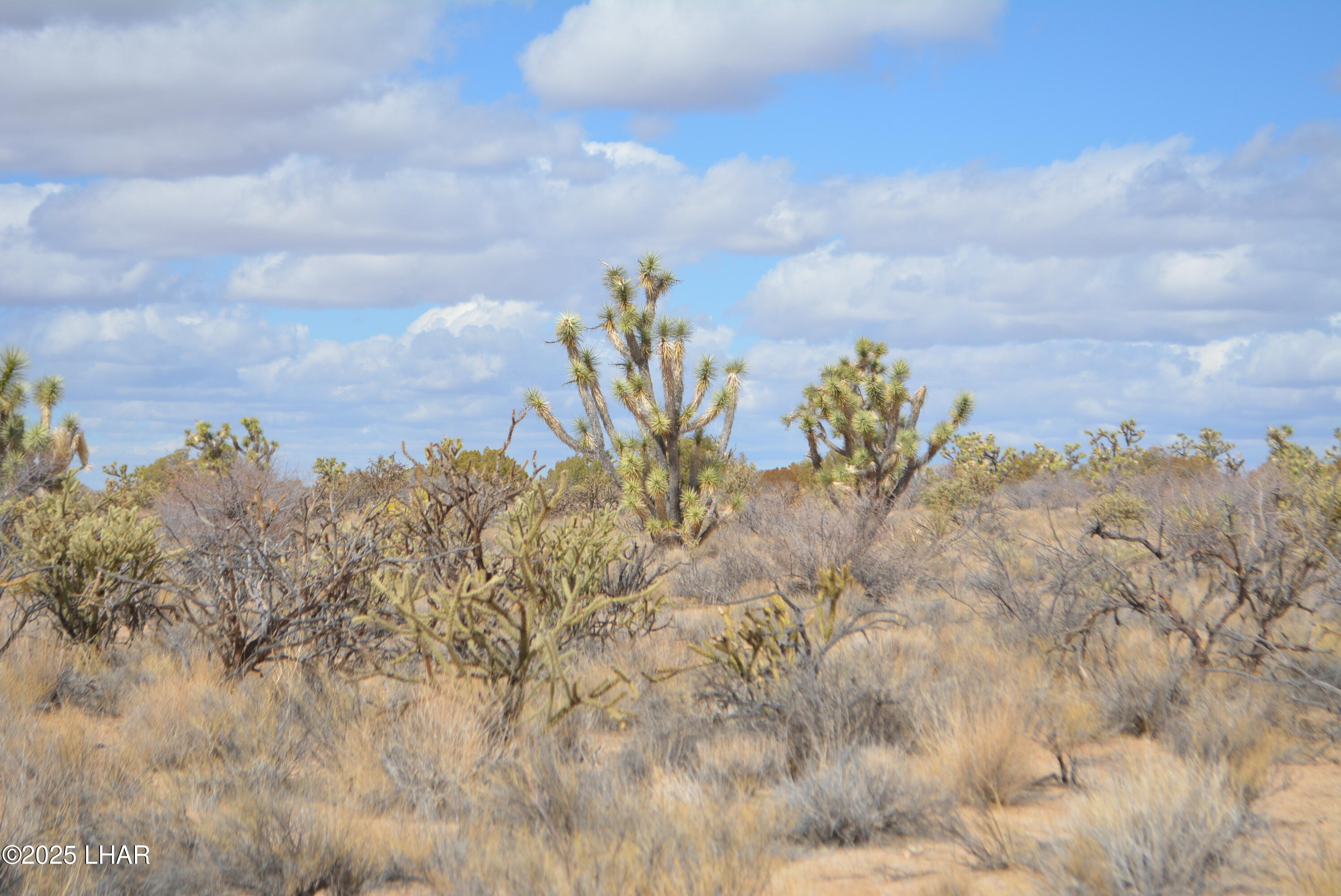2664 South Rawhide Road Yucca, AZ 86438 - Photo 27 of 84 DSC_0719