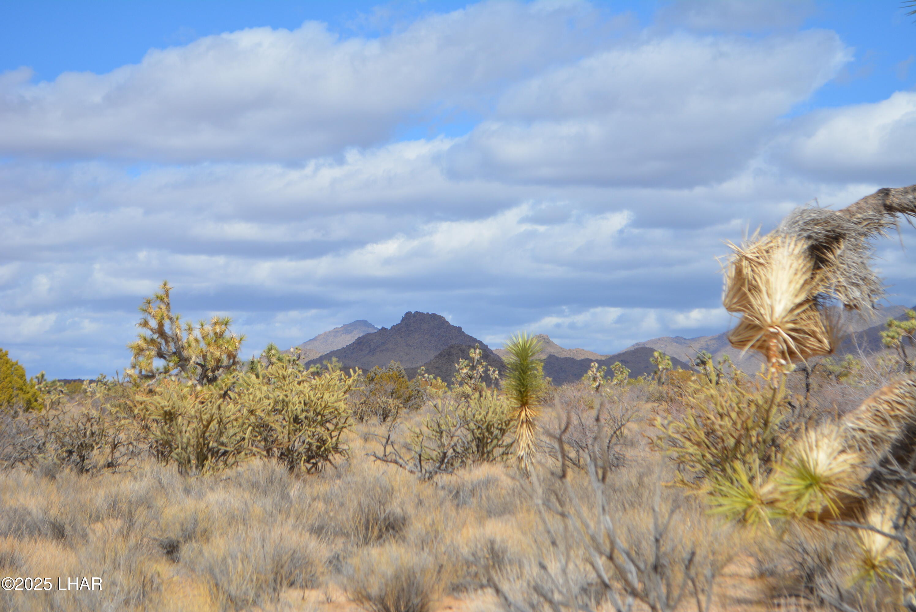 2664 South Rawhide Road Yucca, AZ 86438 - Photo 29 of 84 DSC_0721