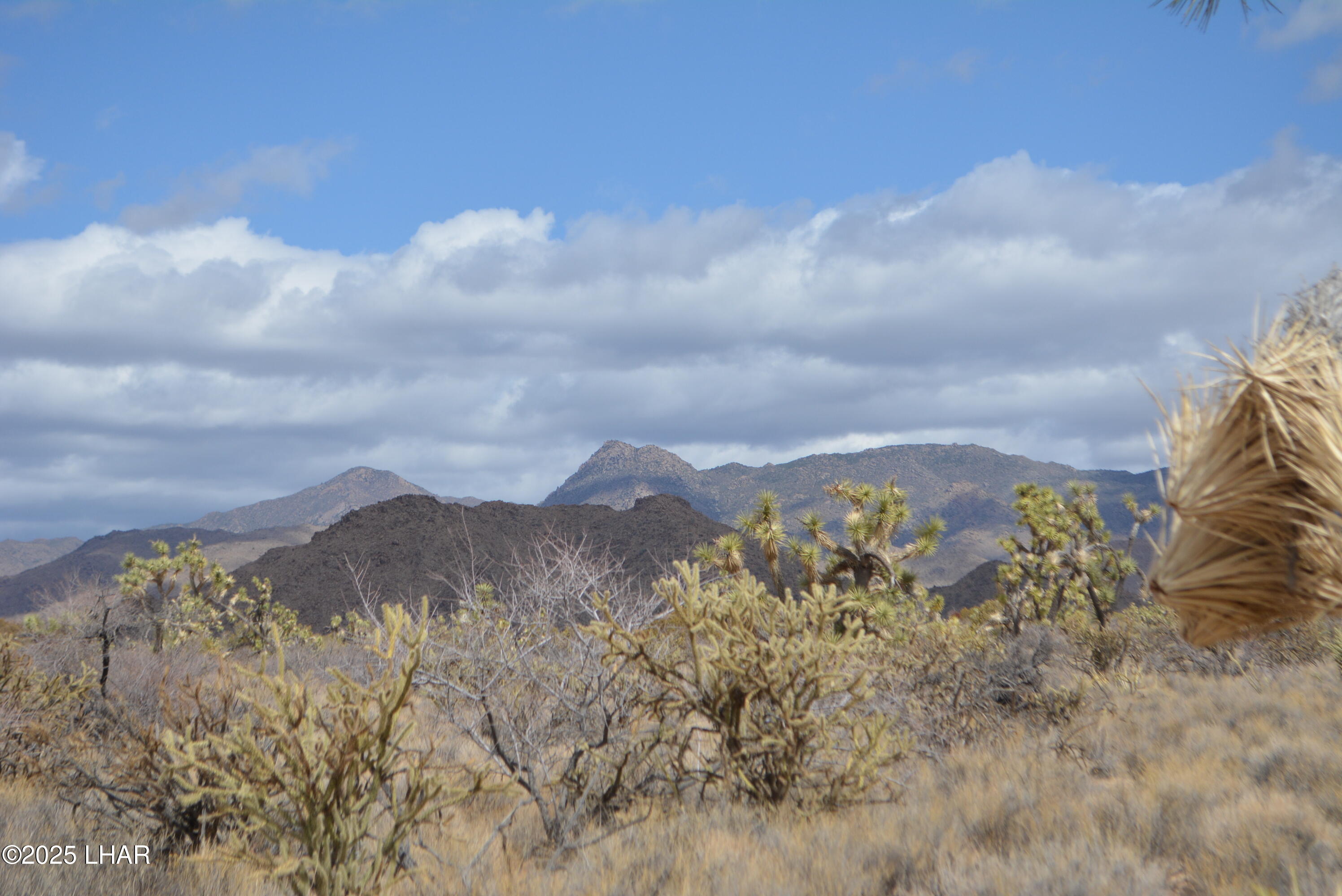 2664 South Rawhide Road Yucca, AZ 86438 - Photo 30 of 84 DSC_0722