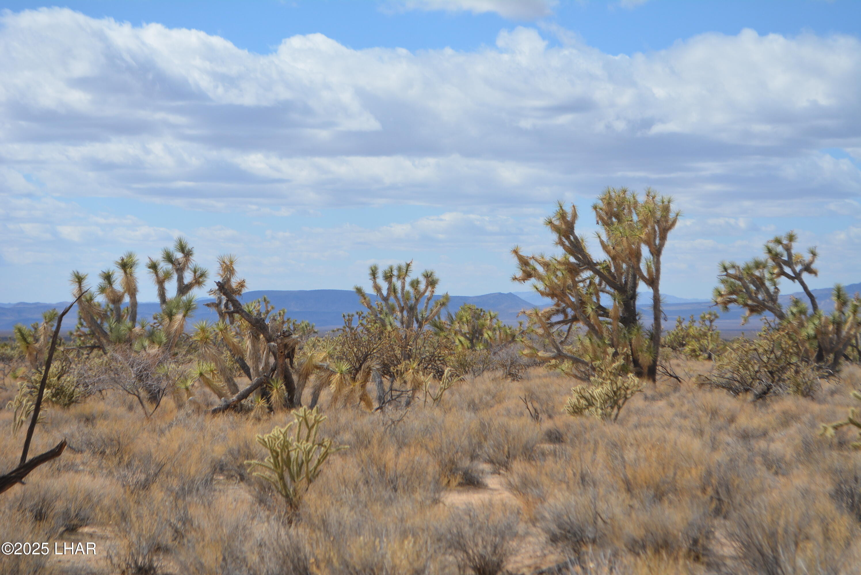 2664 South Rawhide Road Yucca, AZ 86438 - Photo 31 of 84 DSC_0723