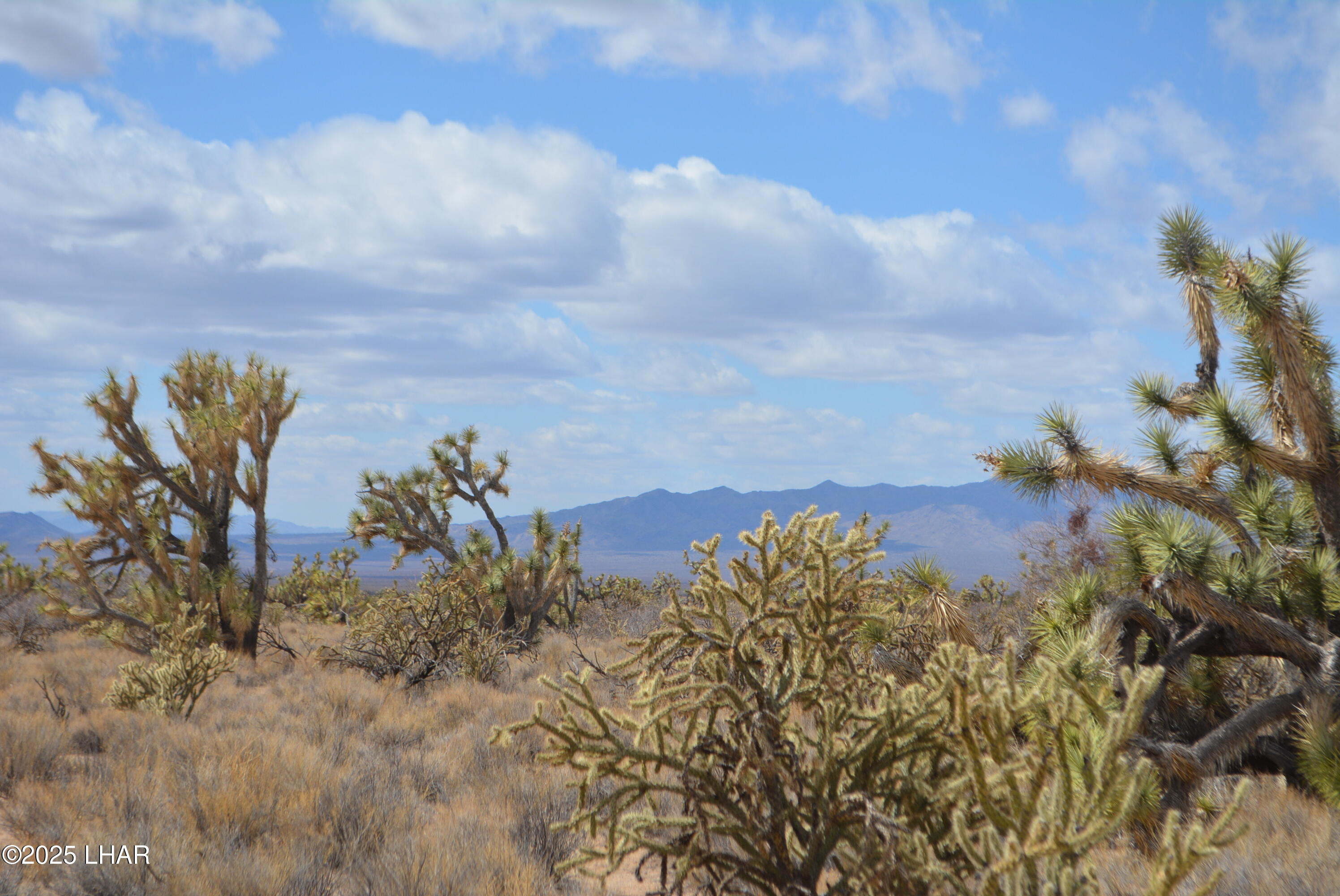 2664 South Rawhide Road Yucca, AZ 86438 - Photo 32 of 84 DSC_0724