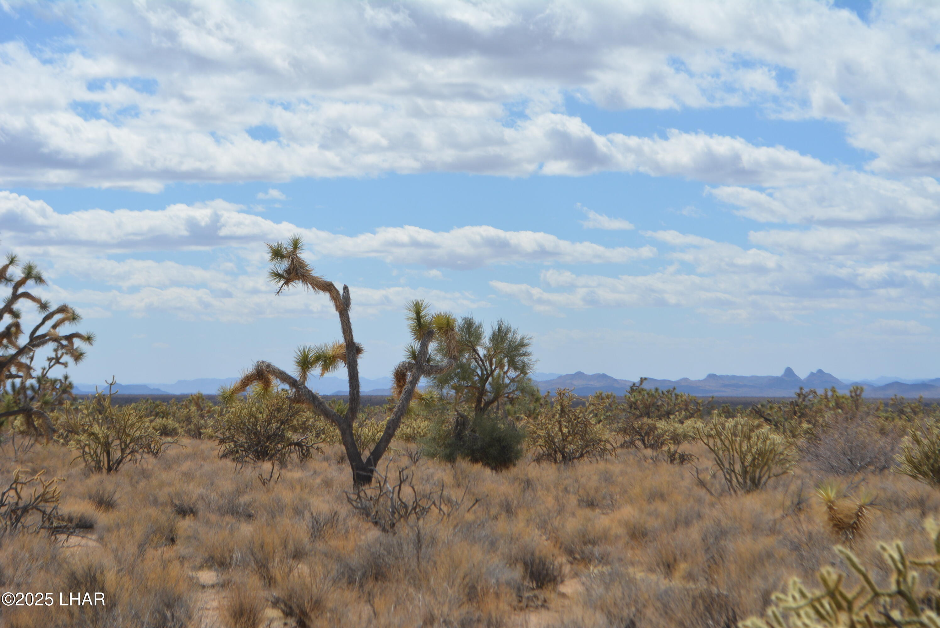 2664 South Rawhide Road Yucca, AZ 86438 - Photo 36 of 84 DSC_0728