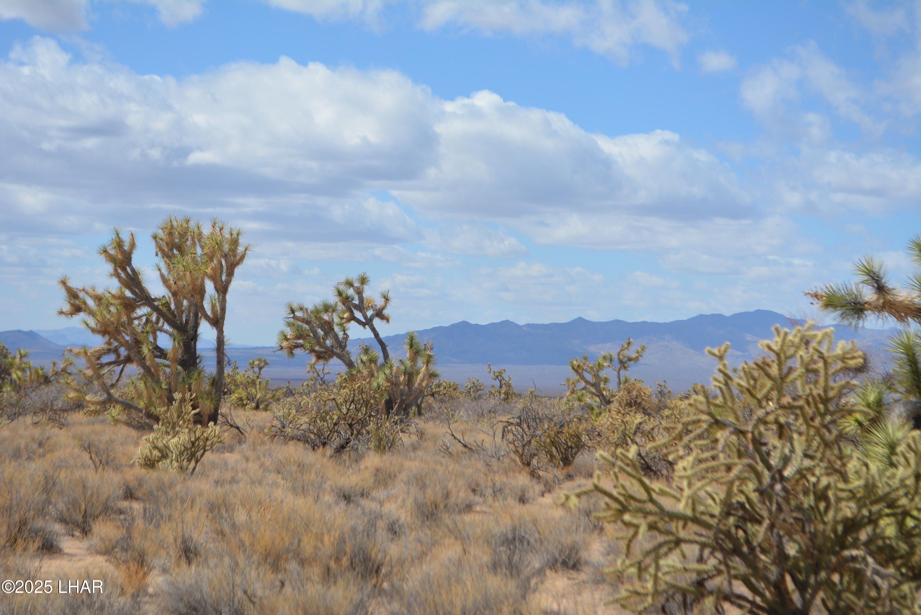 2664 South Rawhide Road Yucca, AZ 86438 - Photo 41 of 84 DSC_0733