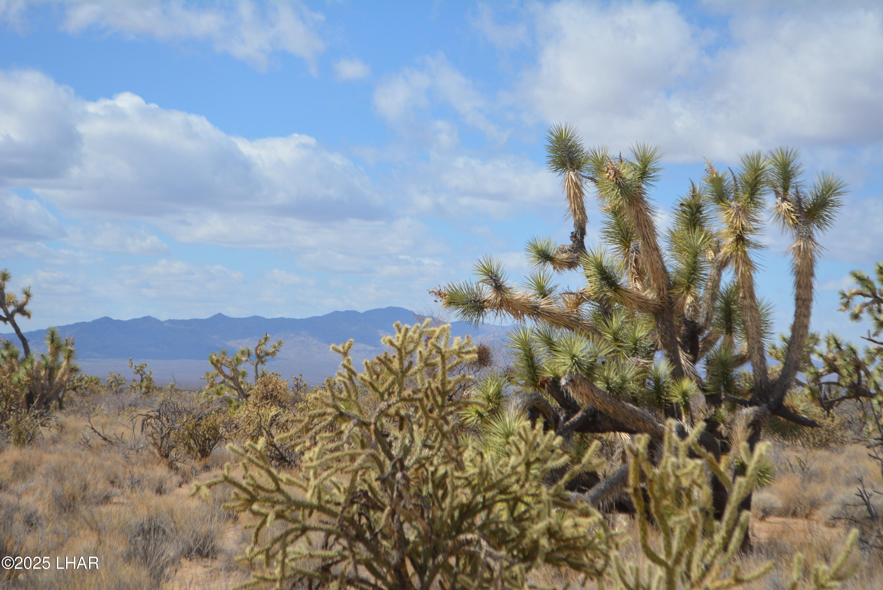 2664 South Rawhide Road Yucca, AZ 86438 - Photo 42 of 84 DSC_0734