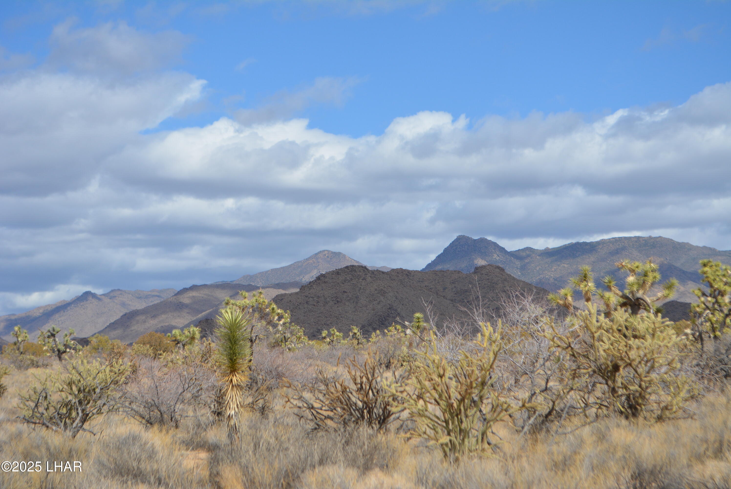 2664 South Rawhide Road Yucca, AZ 86438 - Photo 43 of 84 DSC_0735