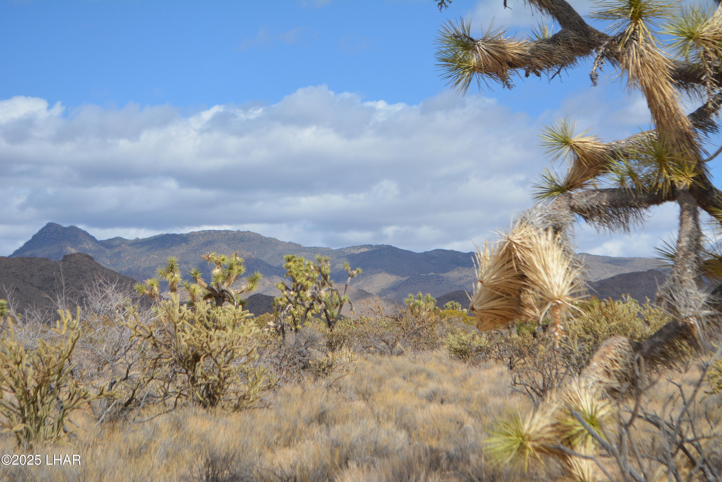 2664 South Rawhide Road Yucca, AZ 86438 - Photo 44 of 84 DSC_0736