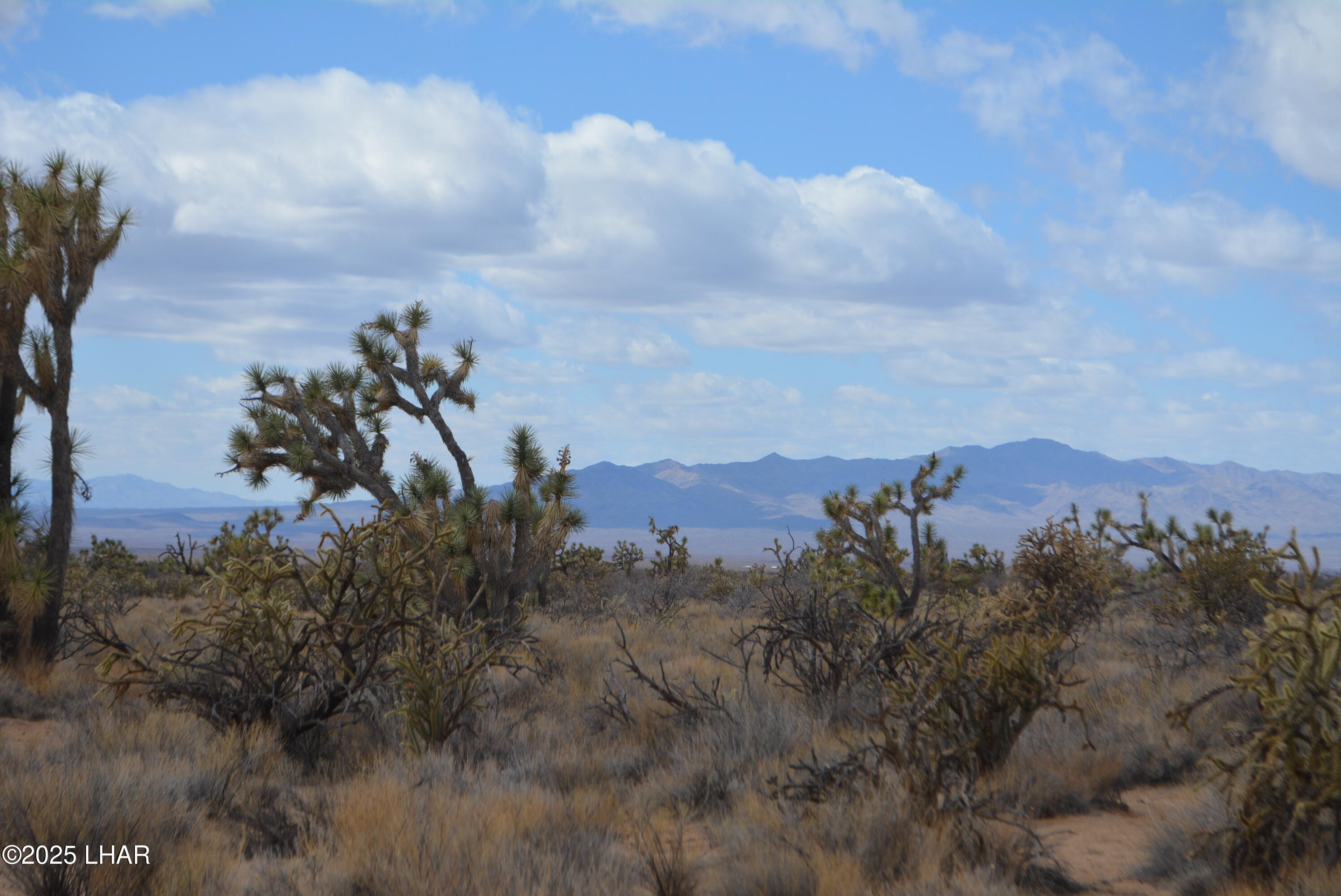 2664 South Rawhide Road Yucca, AZ 86438 - Photo 49 of 84 DSC_0741