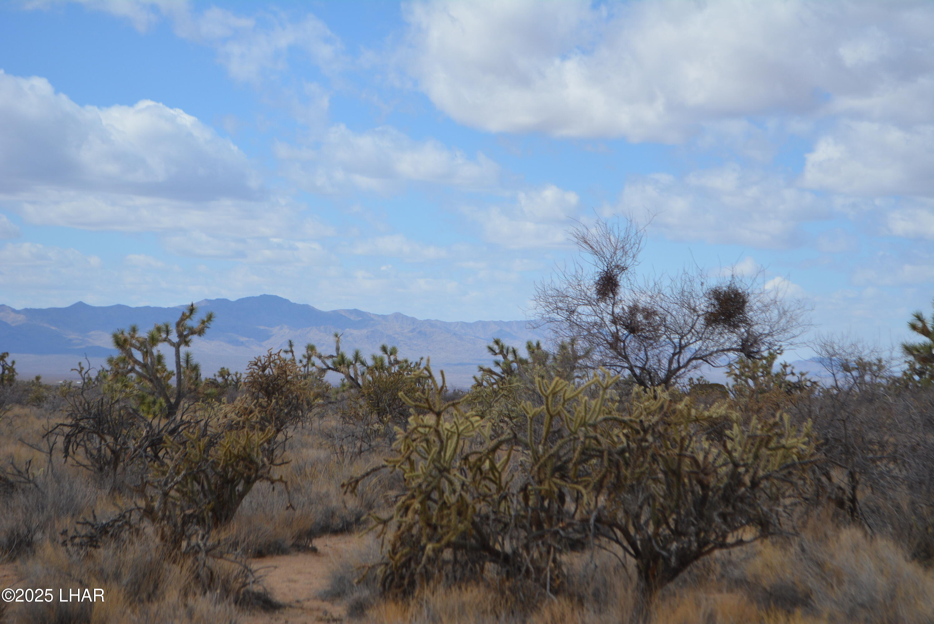 2664 South Rawhide Road Yucca, AZ 86438 - Photo 50 of 84 DSC_0742