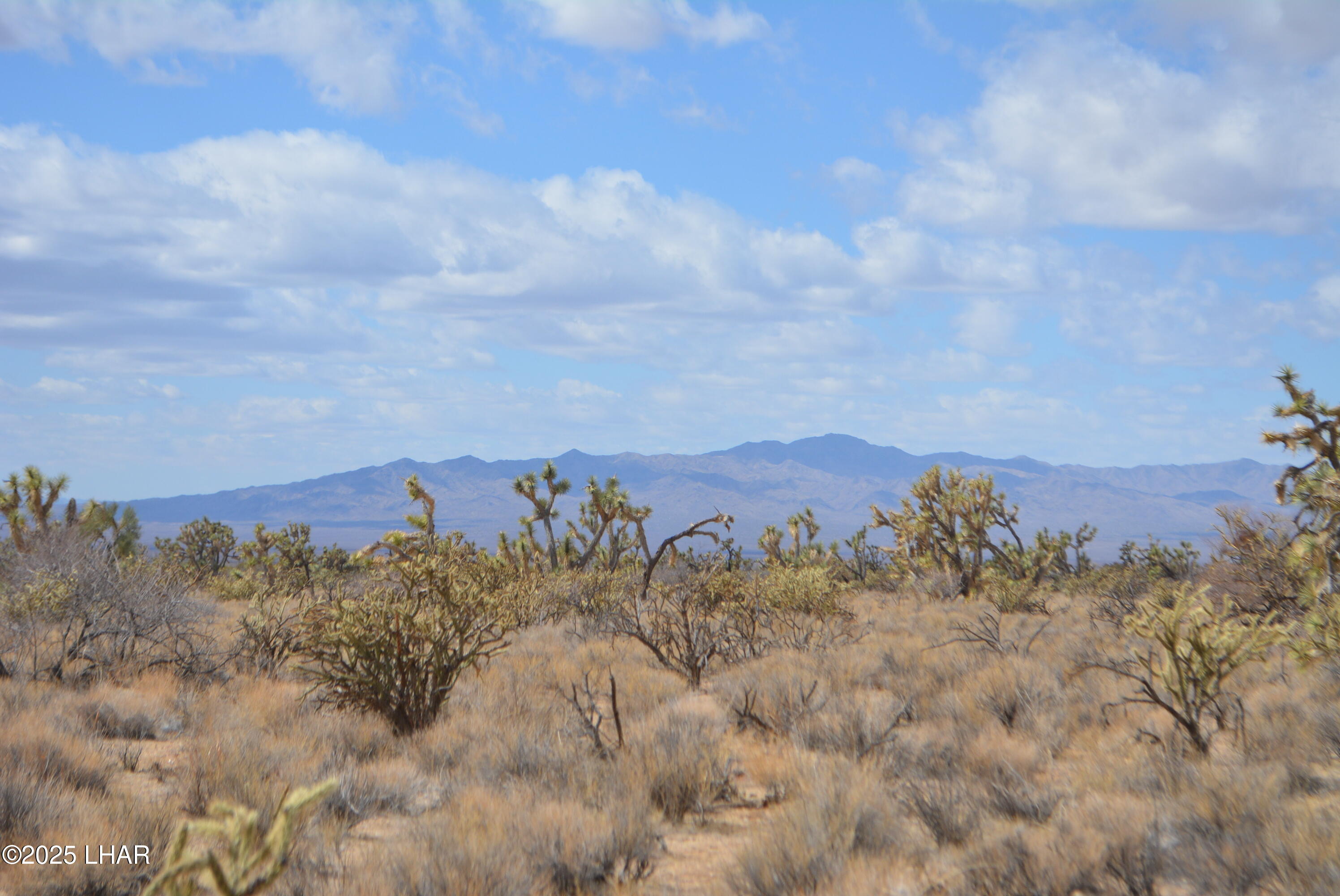 2664 South Rawhide Road Yucca, AZ 86438 - Photo 5 of 84 DSC_0697