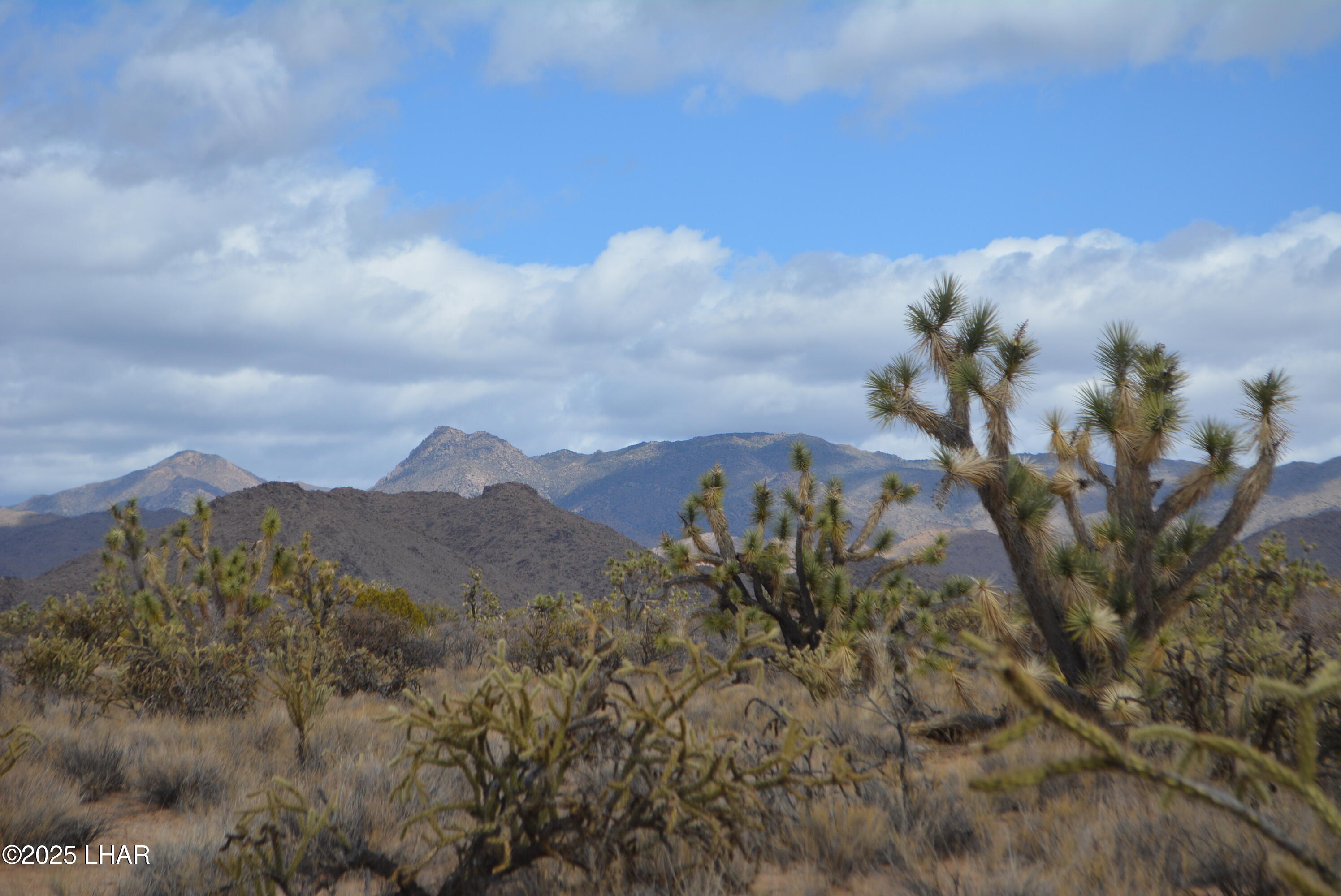 2664 South Rawhide Road Yucca, AZ 86438 - Photo 56 of 84 DSC_0748