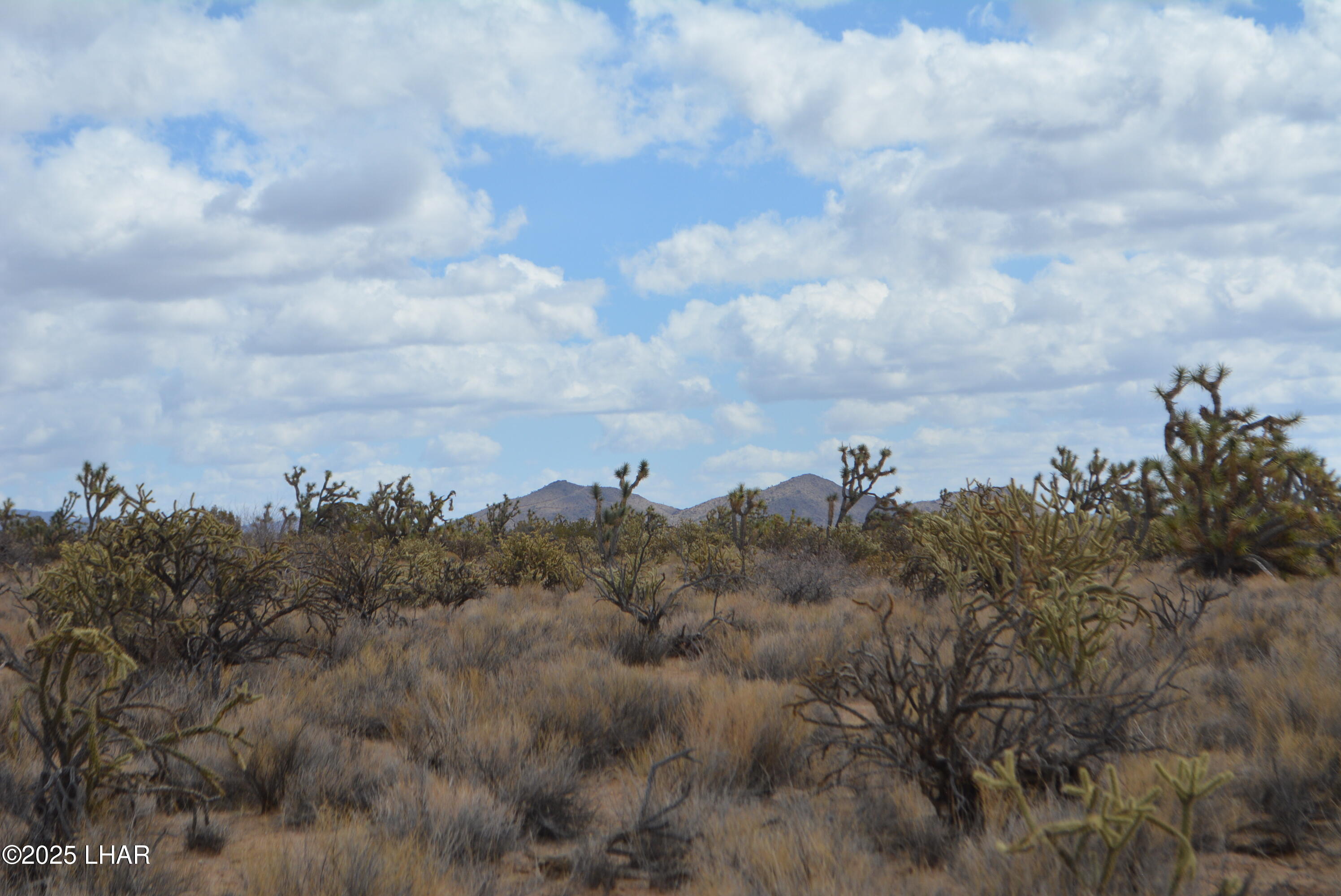 2664 South Rawhide Road Yucca, AZ 86438 - Photo 59 of 84 DSC_0751