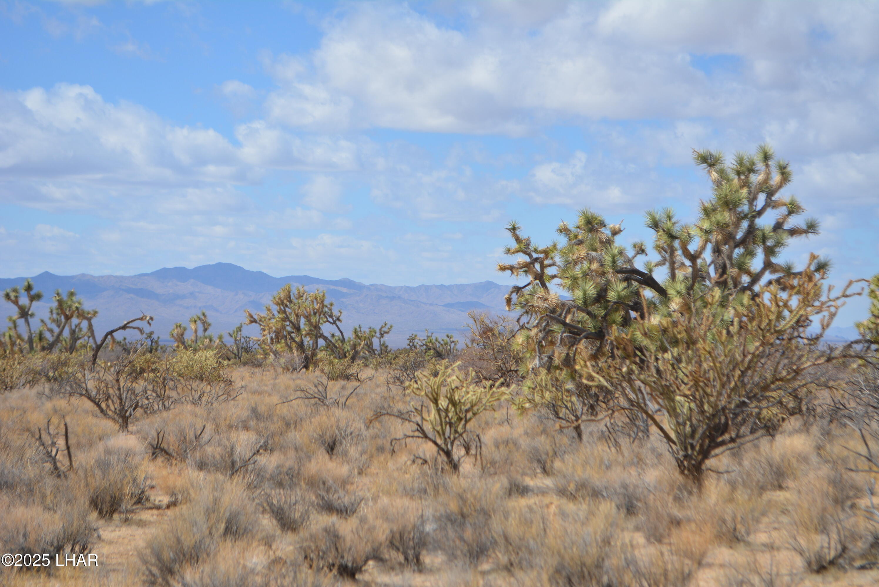 2664 South Rawhide Road Yucca, AZ 86438 - Photo 6 of 84 DSC_0698