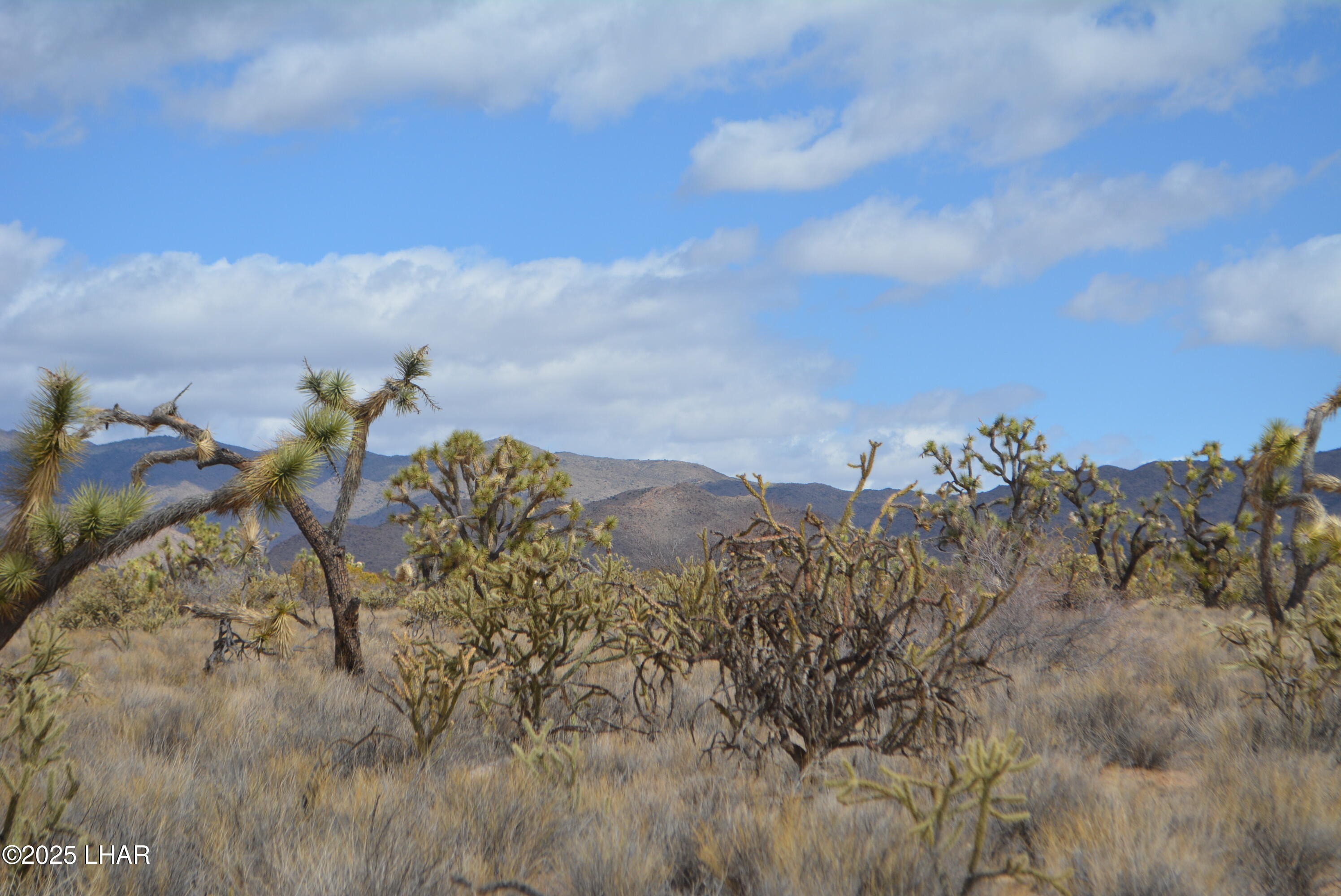 2664 South Rawhide Road Yucca, AZ 86438 - Photo 64 of 84 DSC_0757