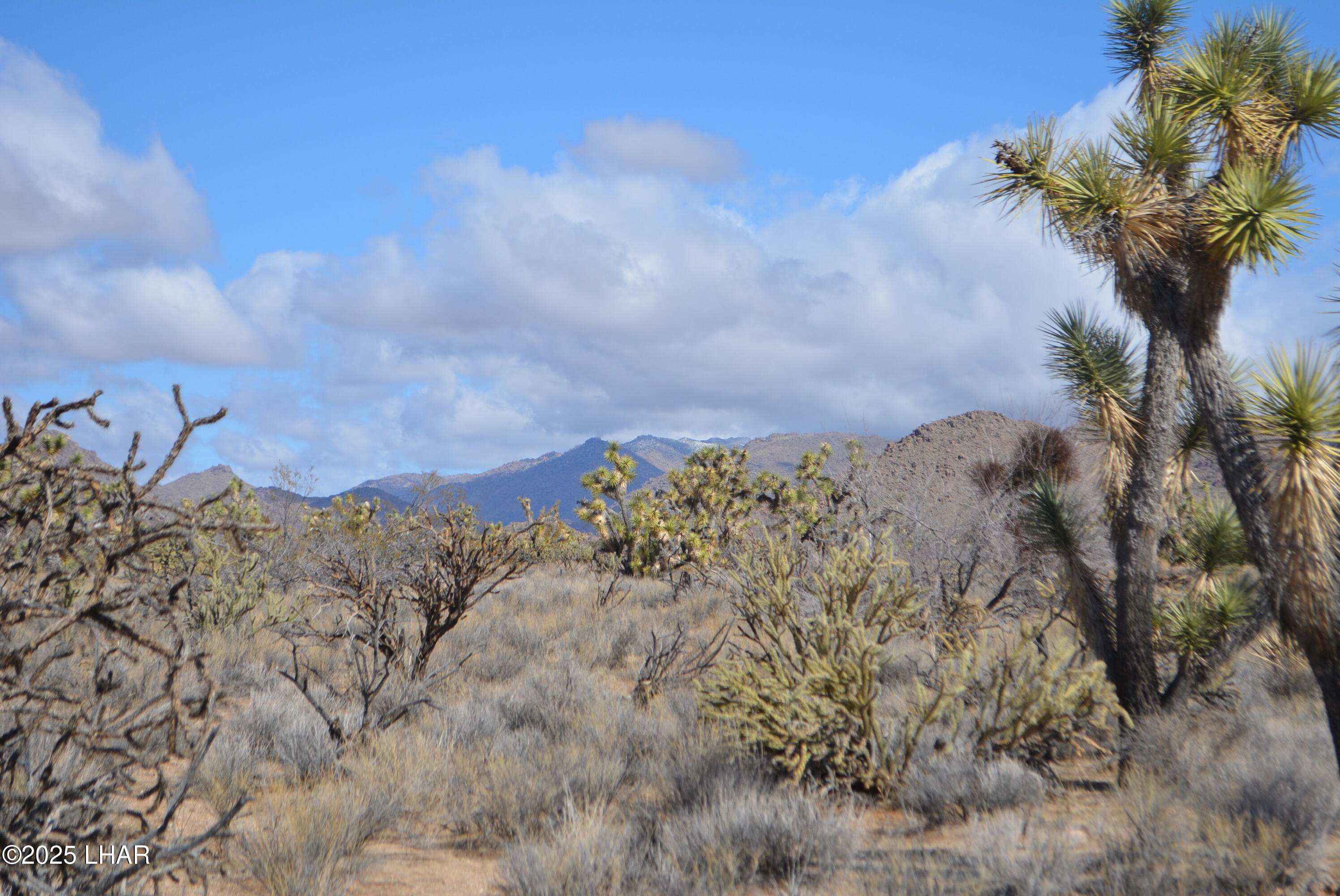 2664 South Rawhide Road Yucca, AZ 86438 - Photo 76 of 84 DSC_0733