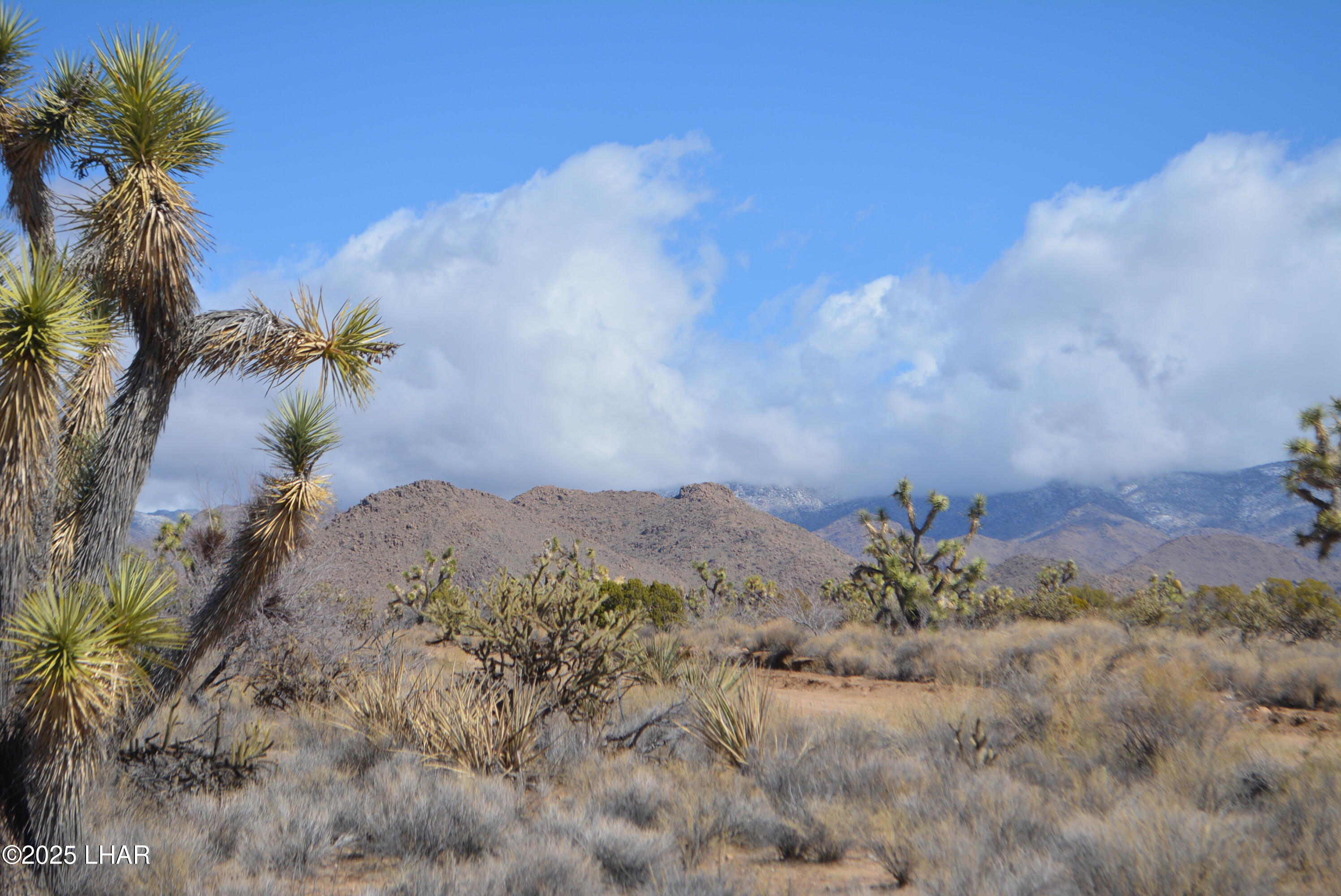 2664 South Rawhide Road Yucca, AZ 86438 - Photo 77 of 84 DSC_0734
