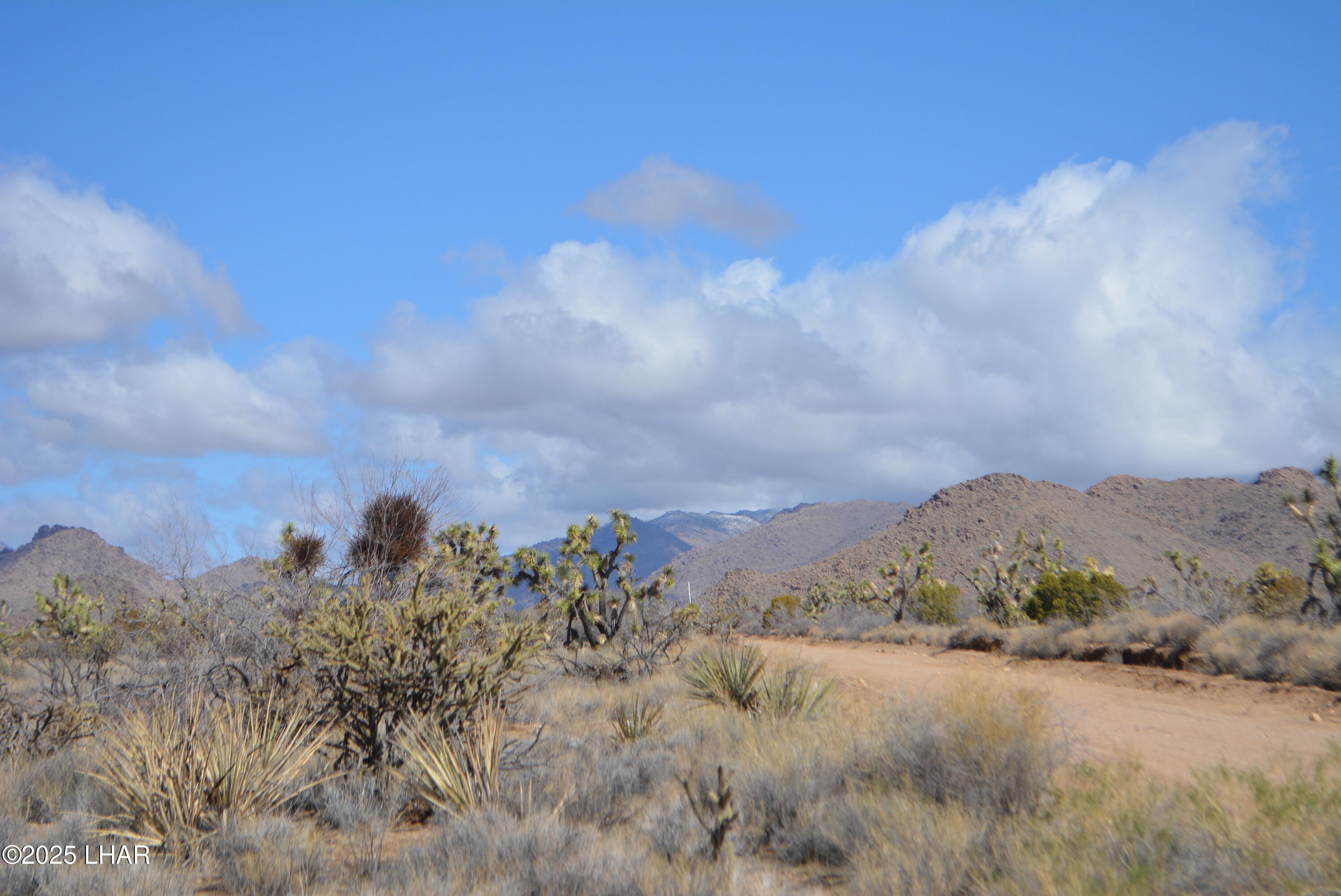 2664 South Rawhide Road Yucca, AZ 86438 - Photo 80 of 84 DSC_0737