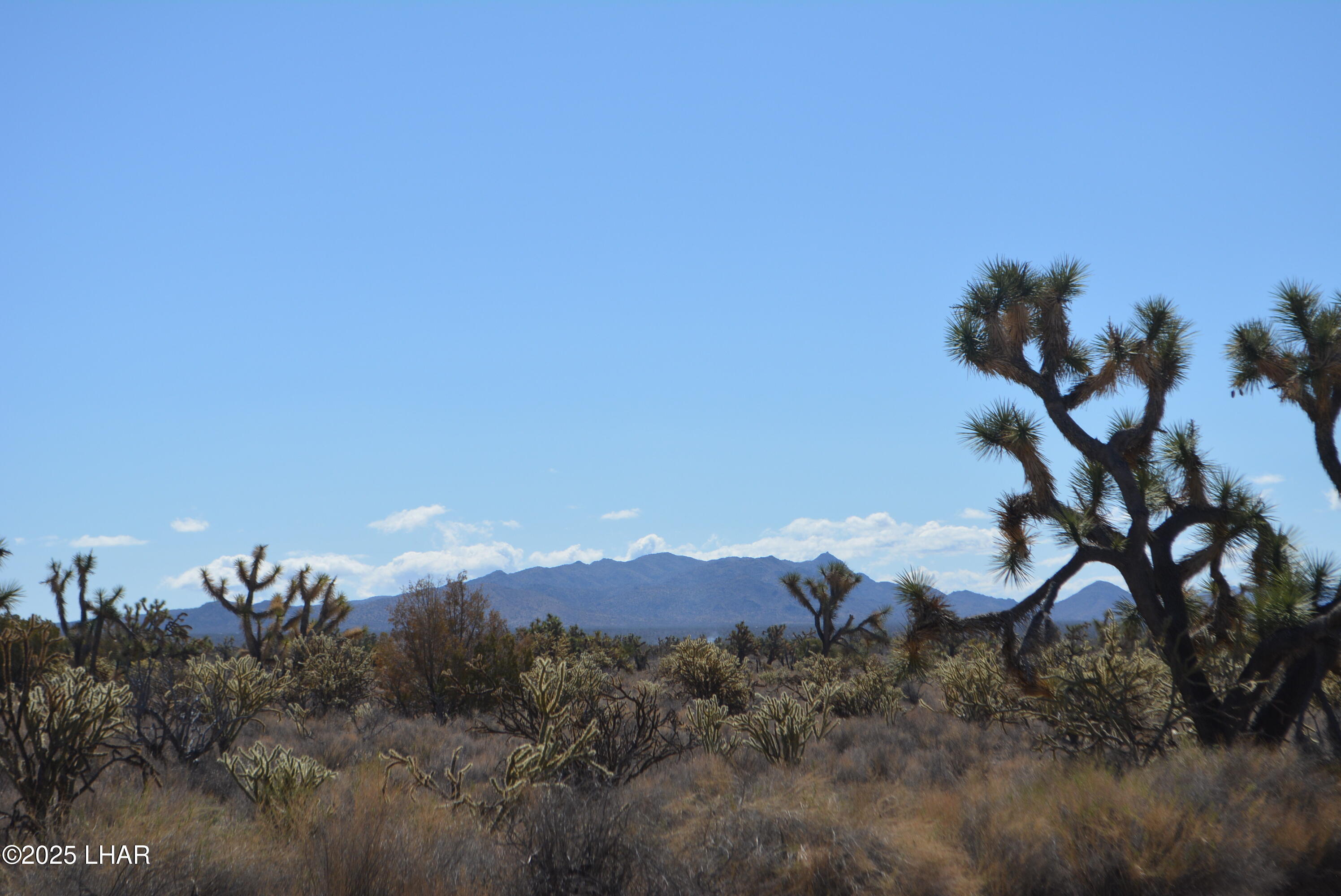 2664 South Rawhide Road Yucca, AZ 86438 - Photo 81 of 84 DSC_0738