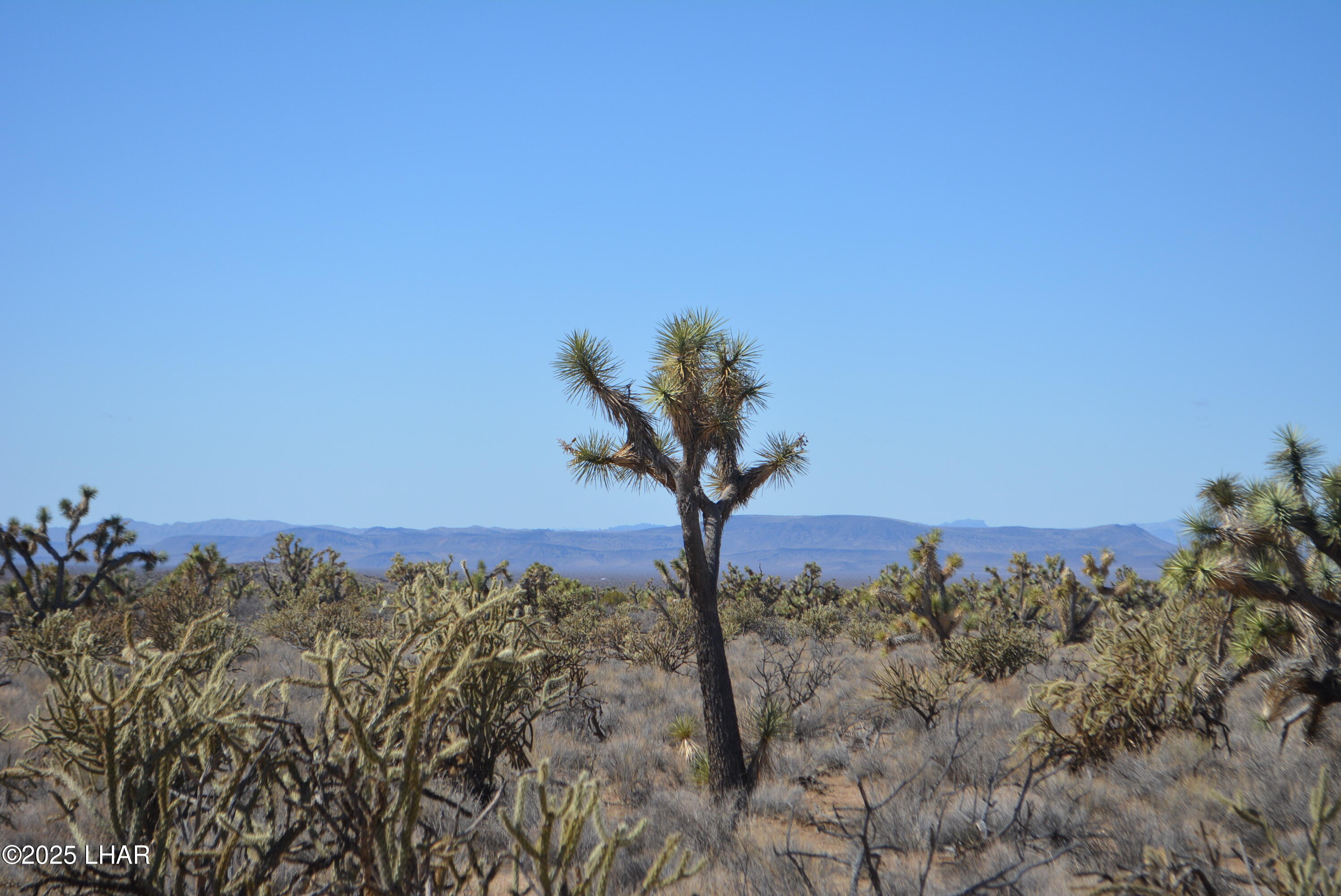 2664 South Rawhide Road Yucca, AZ 86438 - Photo 82 of 84 DSC_0739