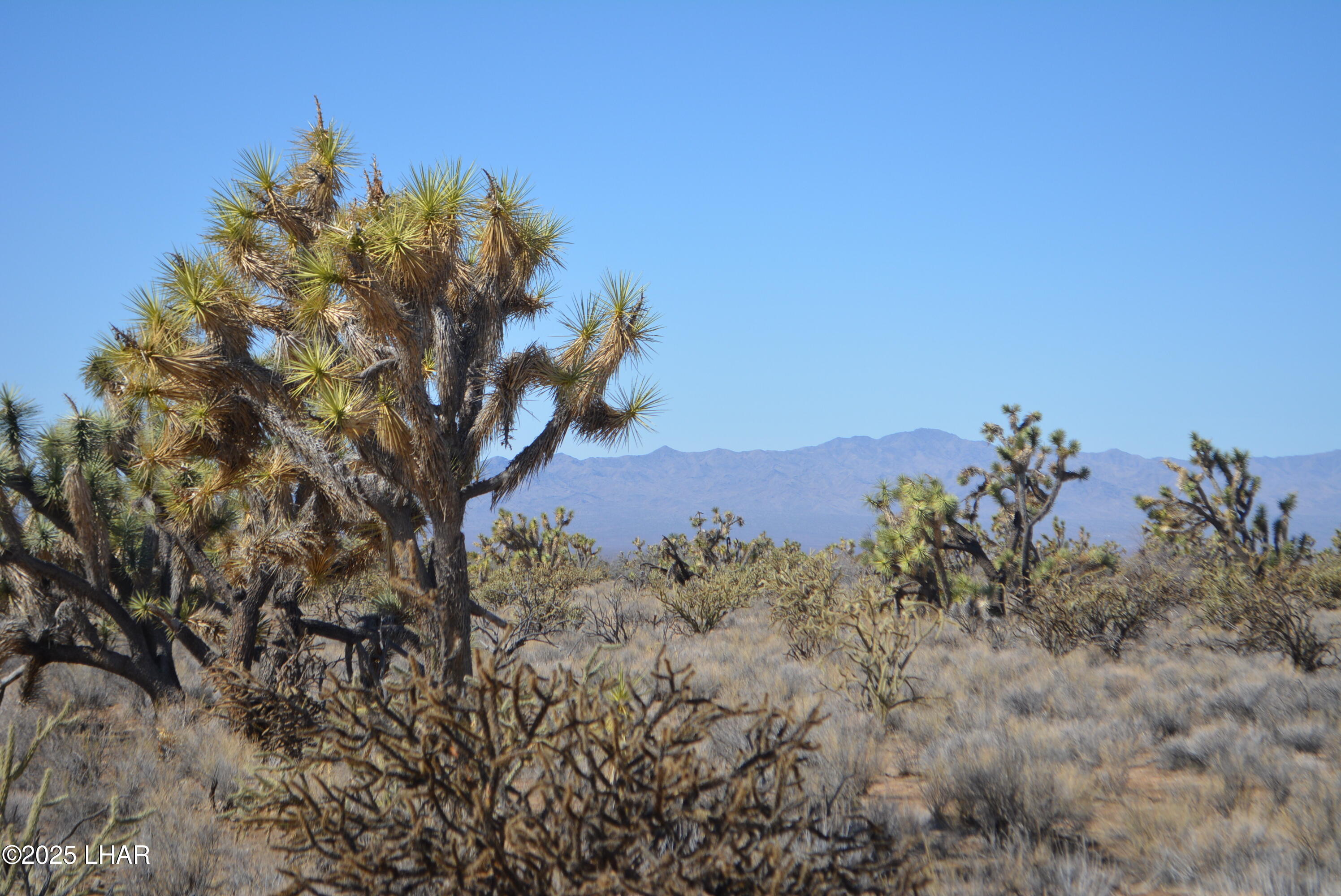 2664 South Rawhide Road Yucca, AZ 86438 - Photo 83 of 84 DSC_0740