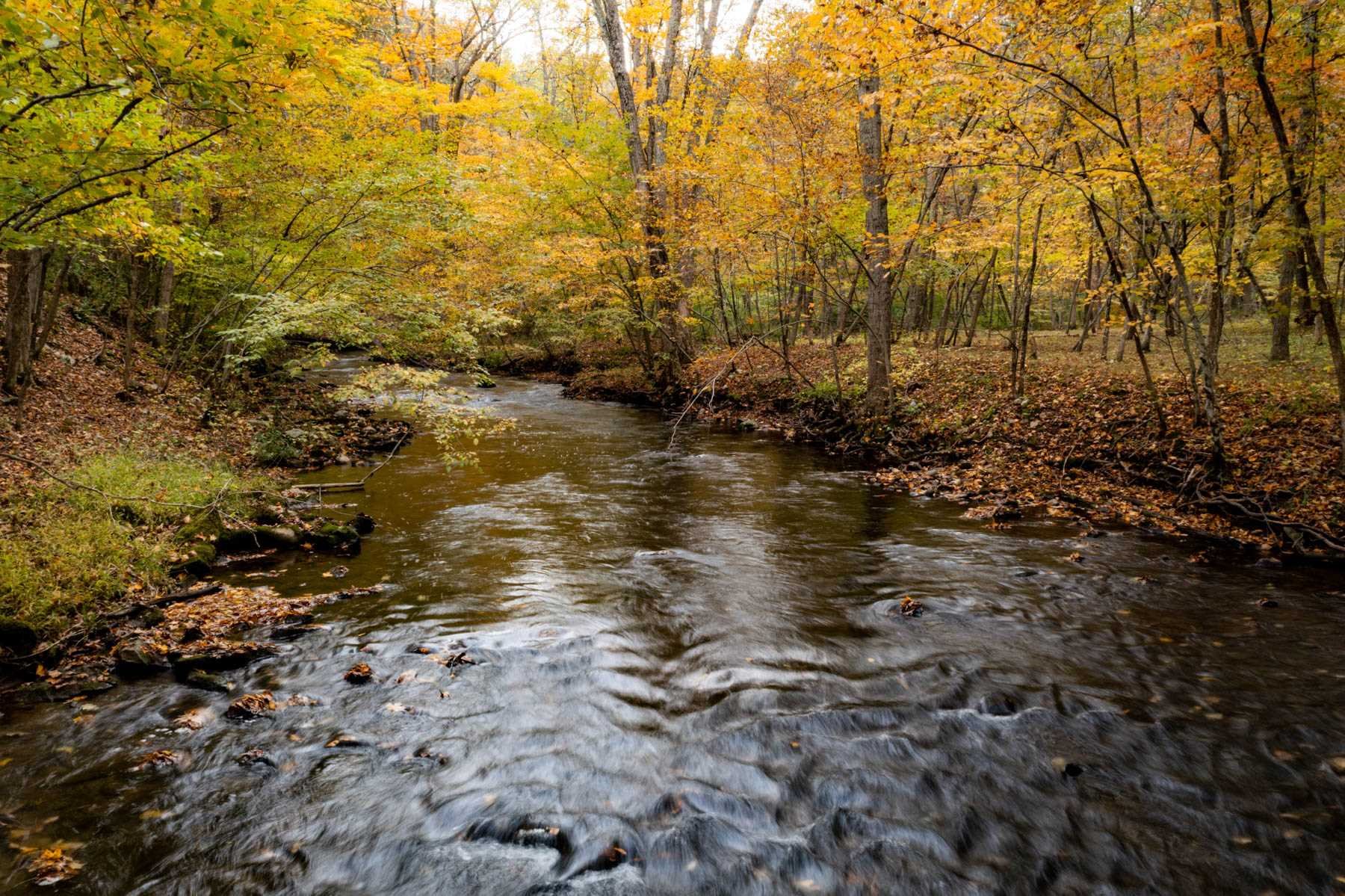 63 Cold Spring Road Stanfordville, NY 12581 - Photo 5 of 11 a view of lake view