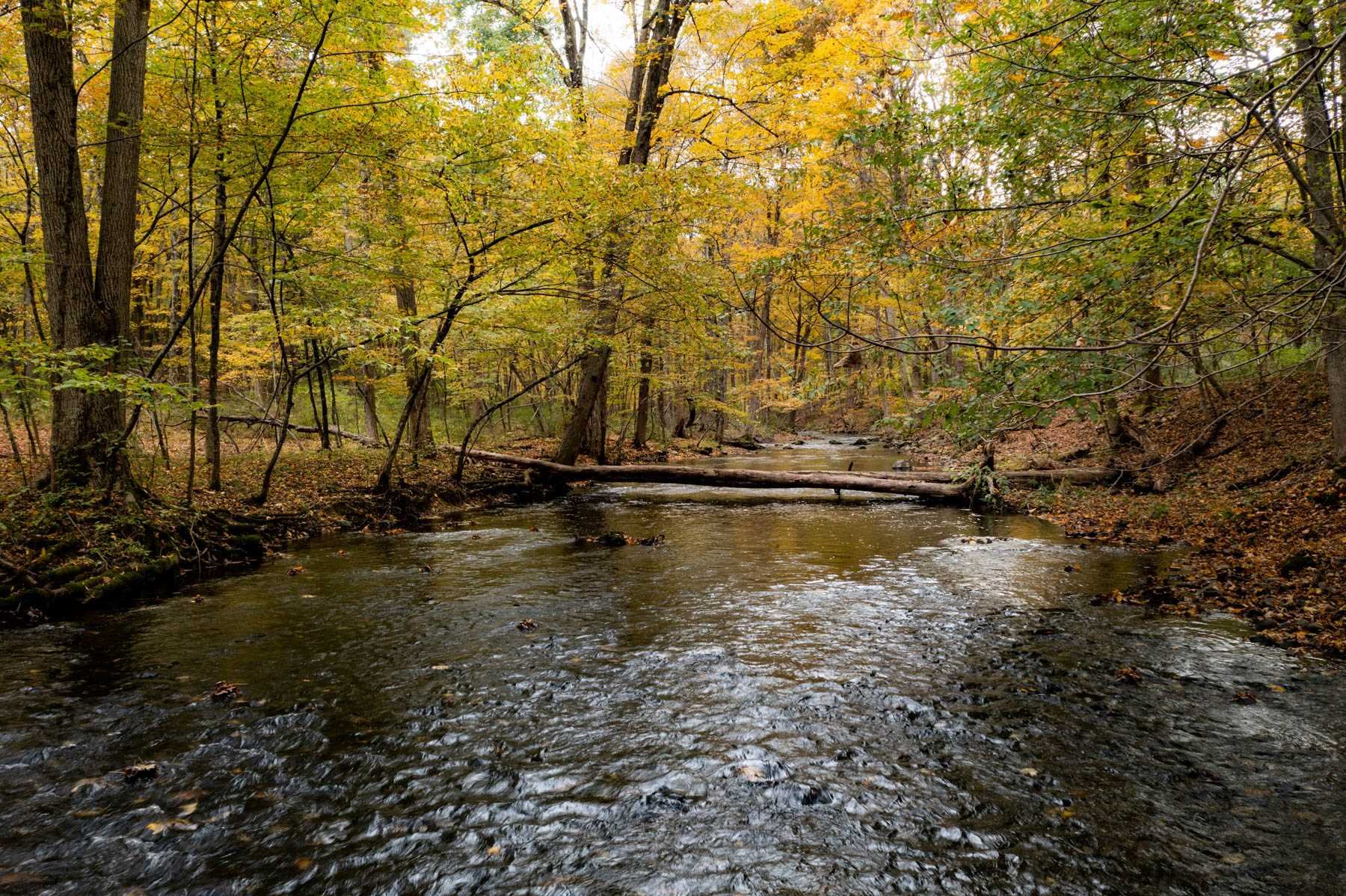 63 Cold Spring Road Stanfordville, NY 12581 - Photo 7 of 11 a view of lake