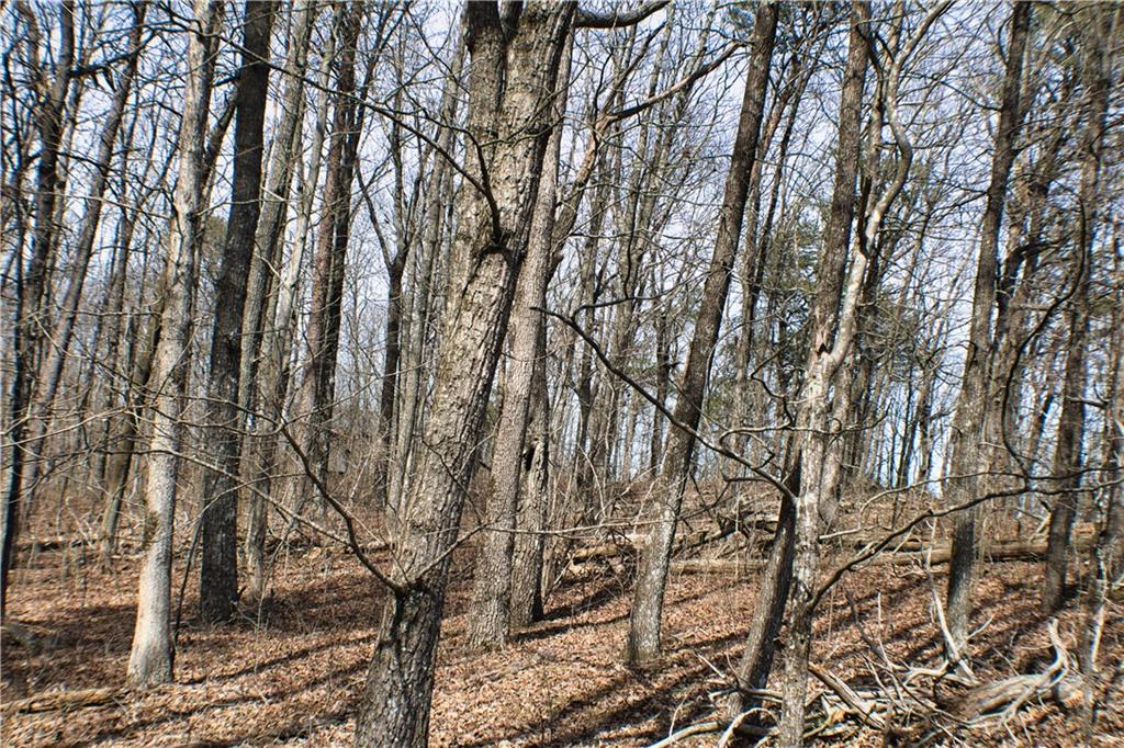 0 157th Highway Rising Fawn, GA 30738 - Photo 10 of 19