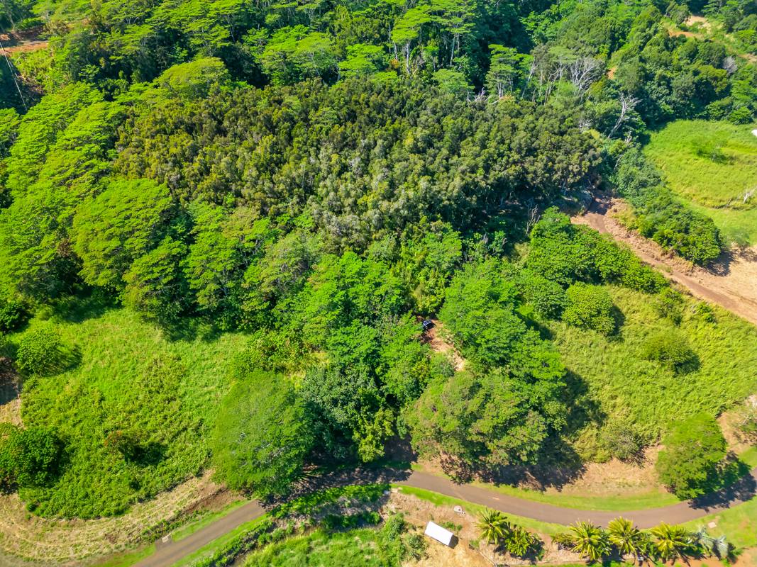 St, Unit 2C Kapaa, HI 96746 - Photo 2 of 4