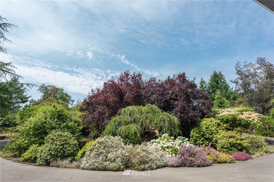 5031 Southwest Point Robinson Road Vashon, WA 98070 - Photo 8 of 25