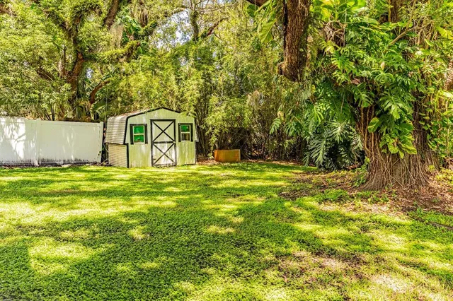 a view of a yard with plants