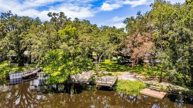 a view of a garden with plants