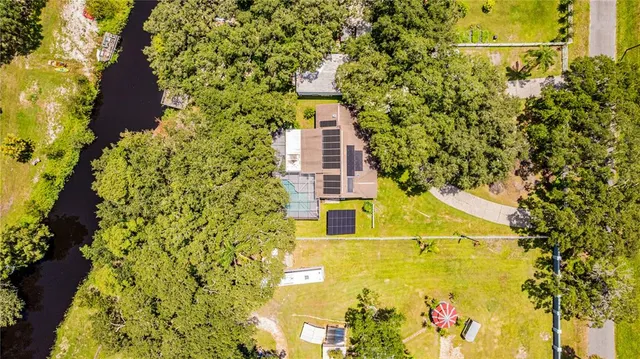 a view of a large yard with plants and large trees