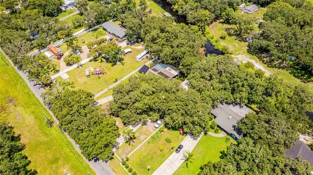 a view of a park with large trees