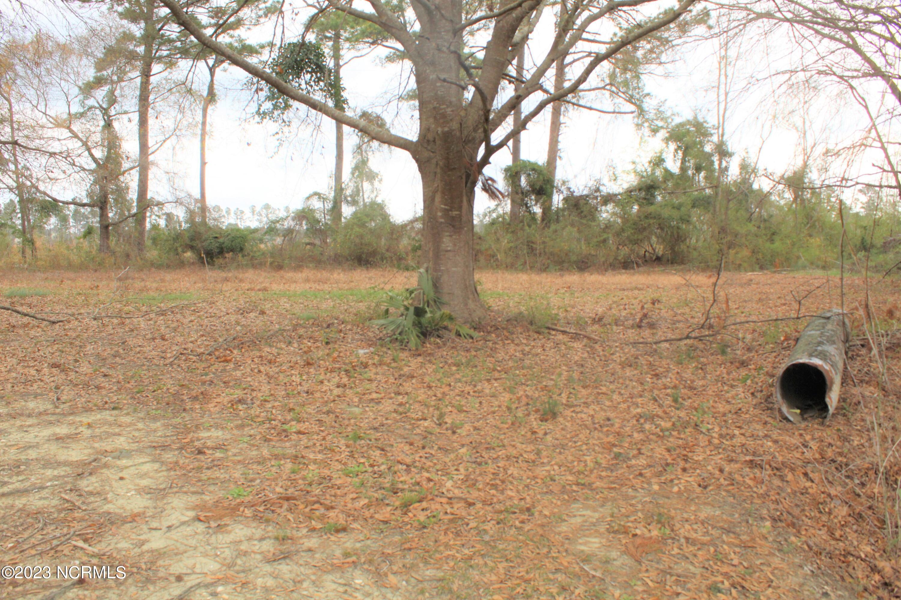 170 Hickman Road Northwest Calabash, NC 28467 - Photo 3 of 4 IMG_1505