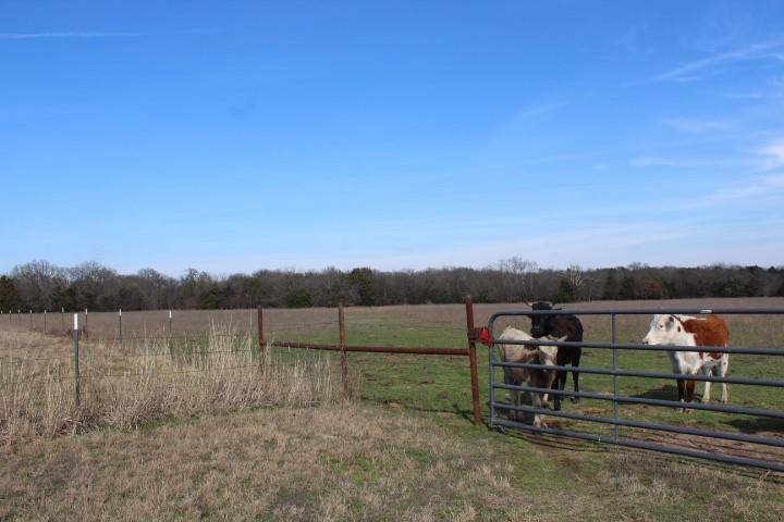 2488 Rains County Road 1525 Point, TX 75472 - Photo 2 of 7 a view of lake with mountain view