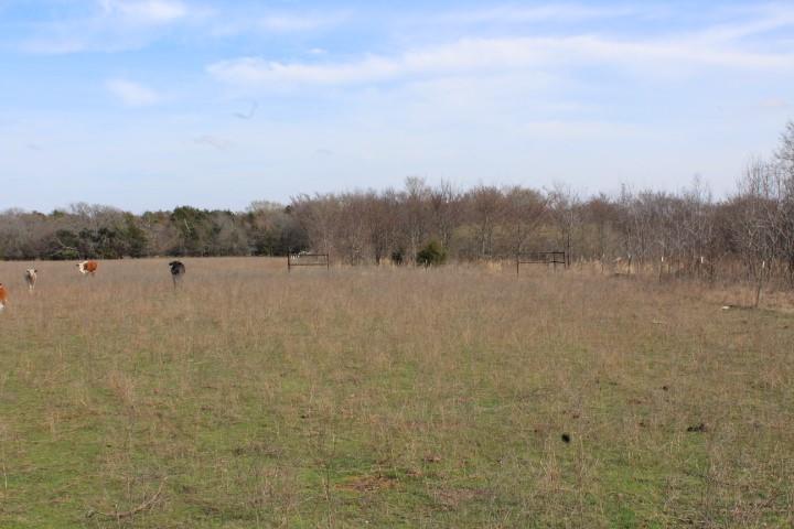 2488 Rains County Road 1525 Point, TX 75472 - Photo 3 of 7 a view of lake with mountain