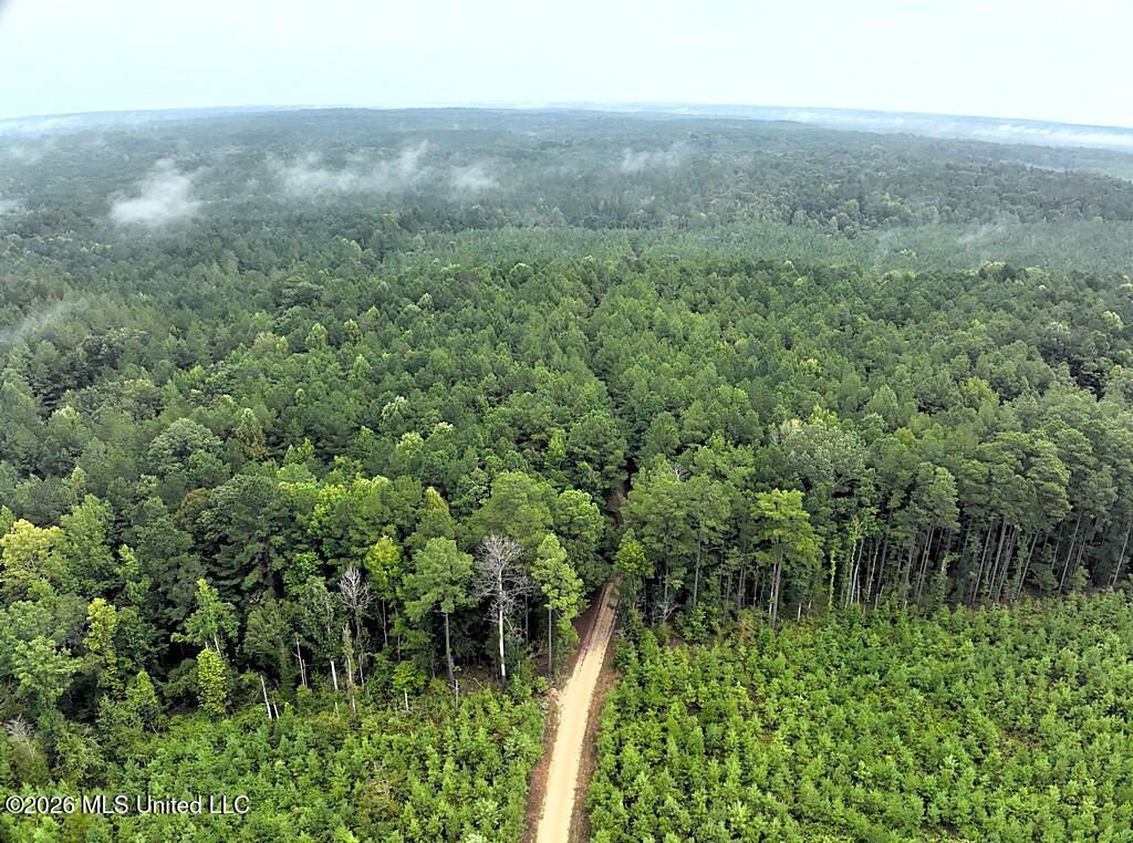 John Chambers Road Roxie, MS 39661 - Photo 3 of 14 Frnkln3000002